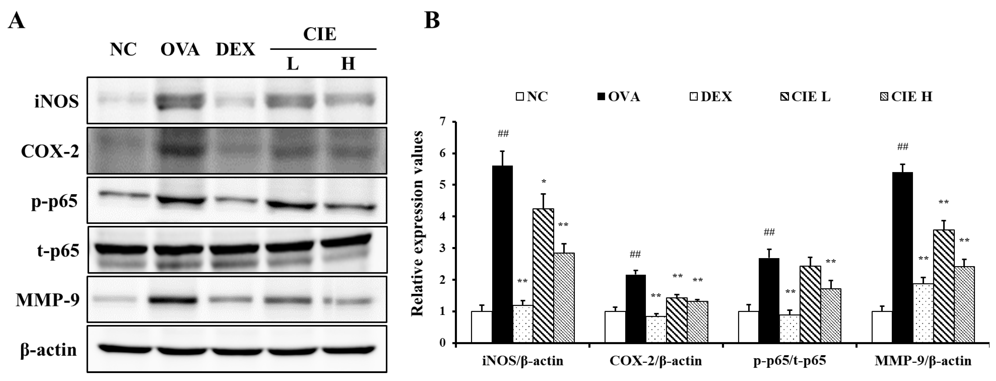 Nutrients 14 02067 g007 Nutrients 14 02067 g007