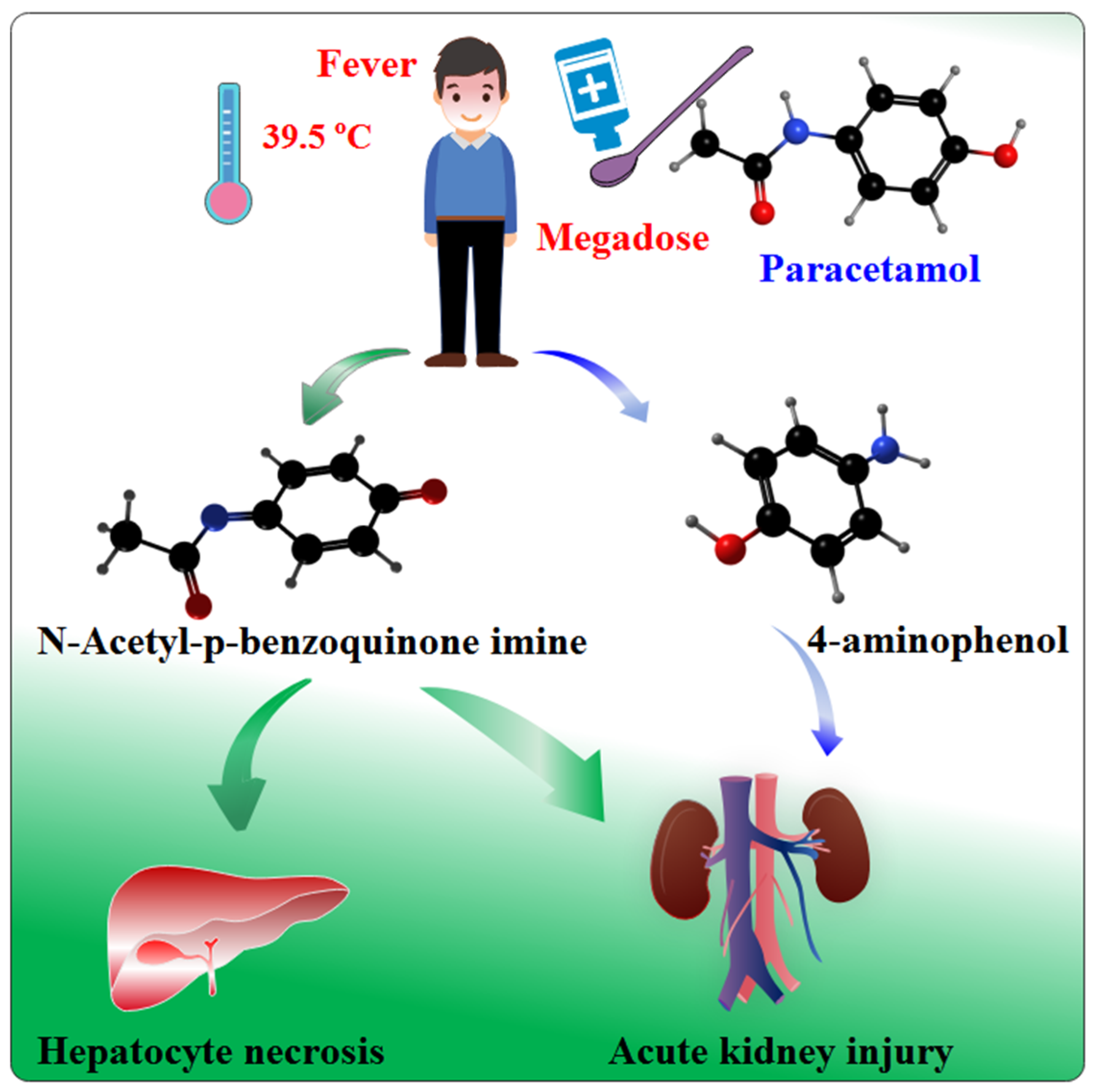 Nutrients 14 02077 g001