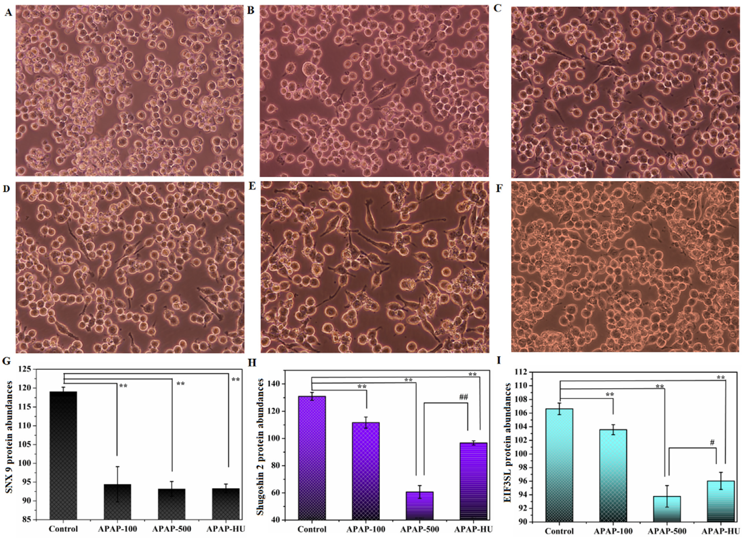 Nutrients 14 02077 g002