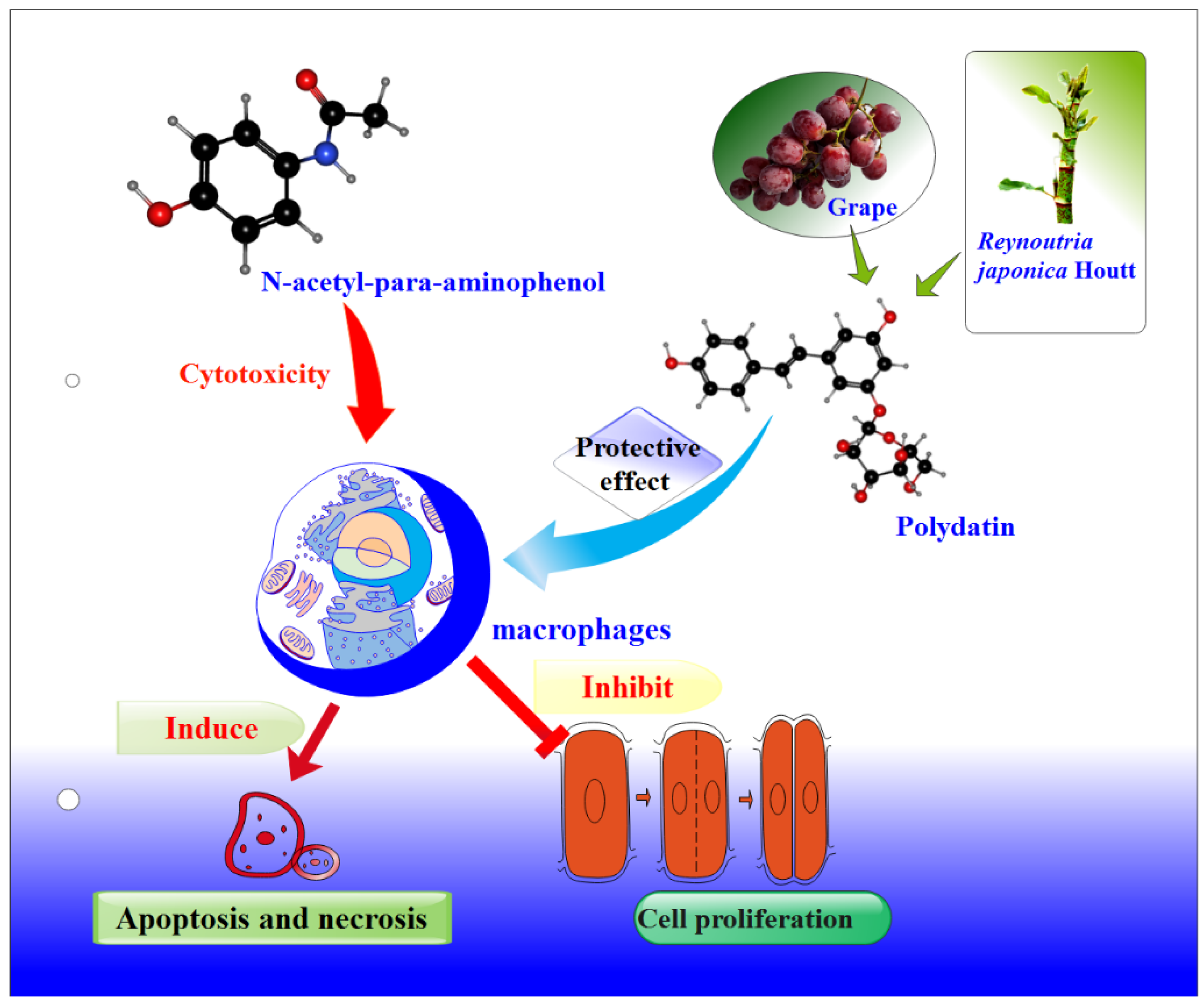 Nutrients 14 02077 g008