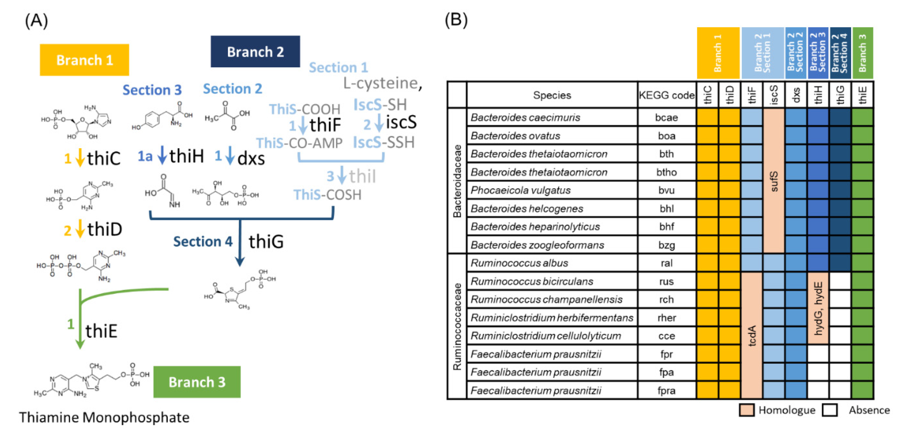Nutrients 14 02078 g003 550