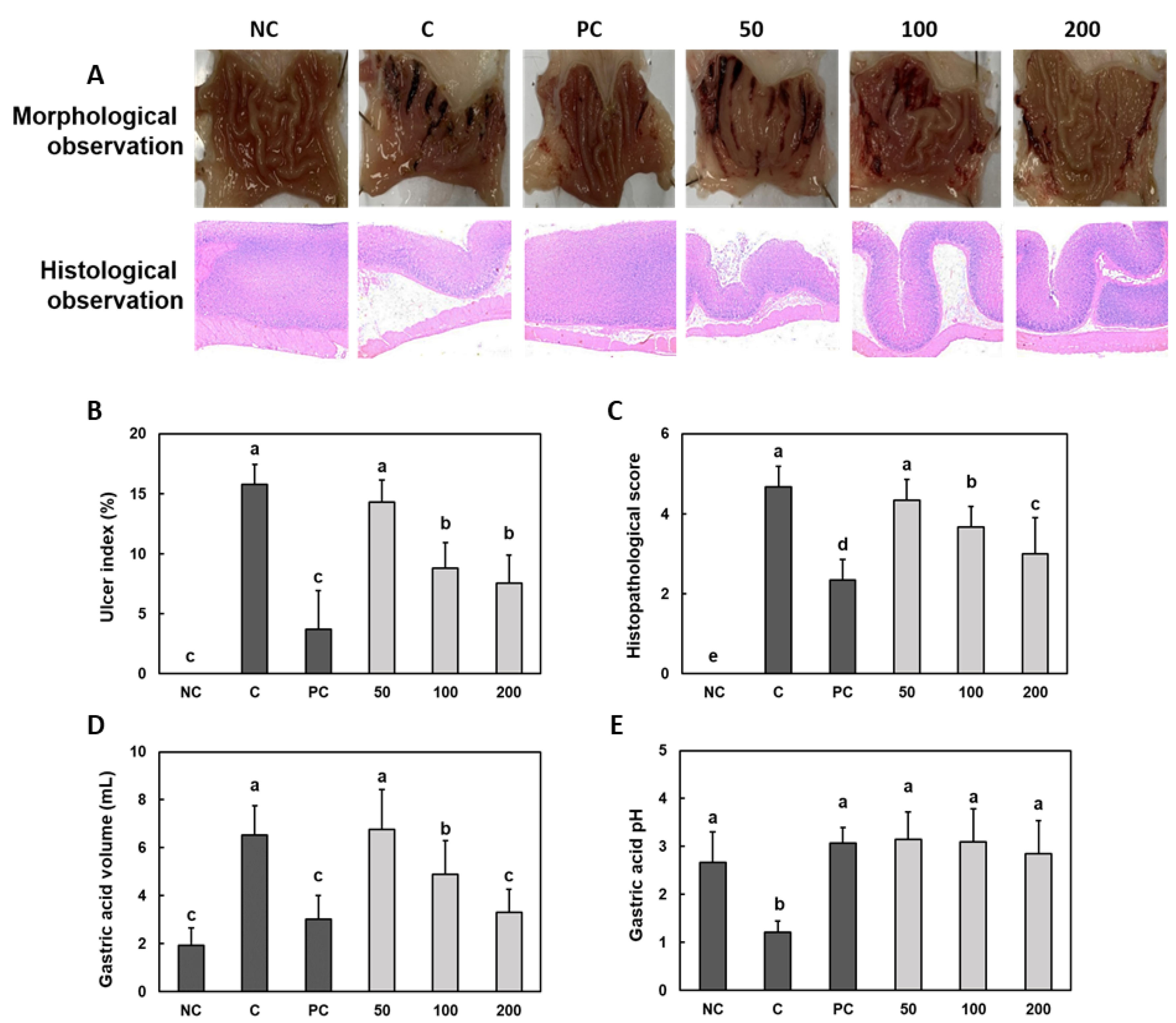 Nutrients 14 02079 g001 550