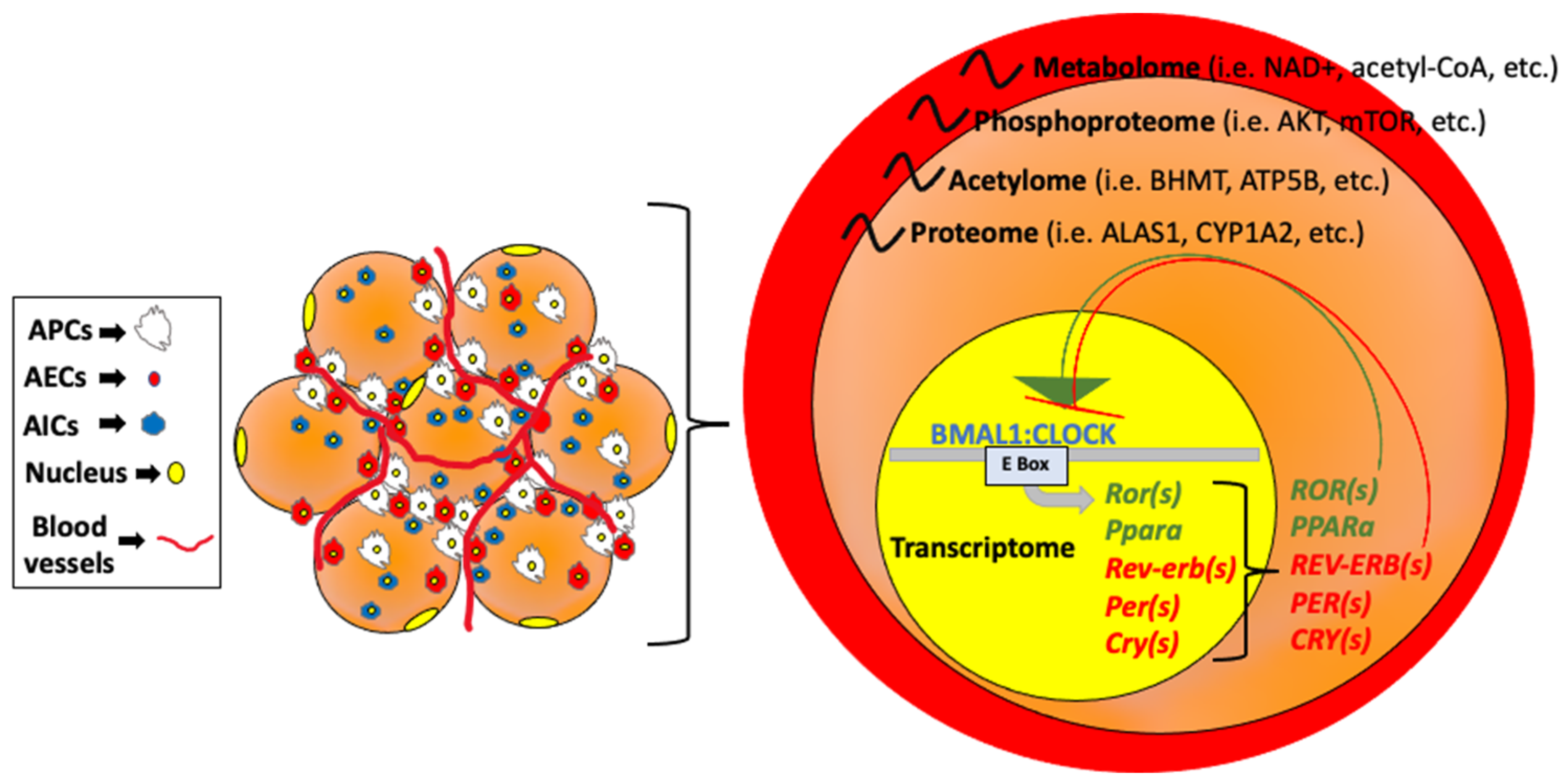 Nutrients 14 02084 g001