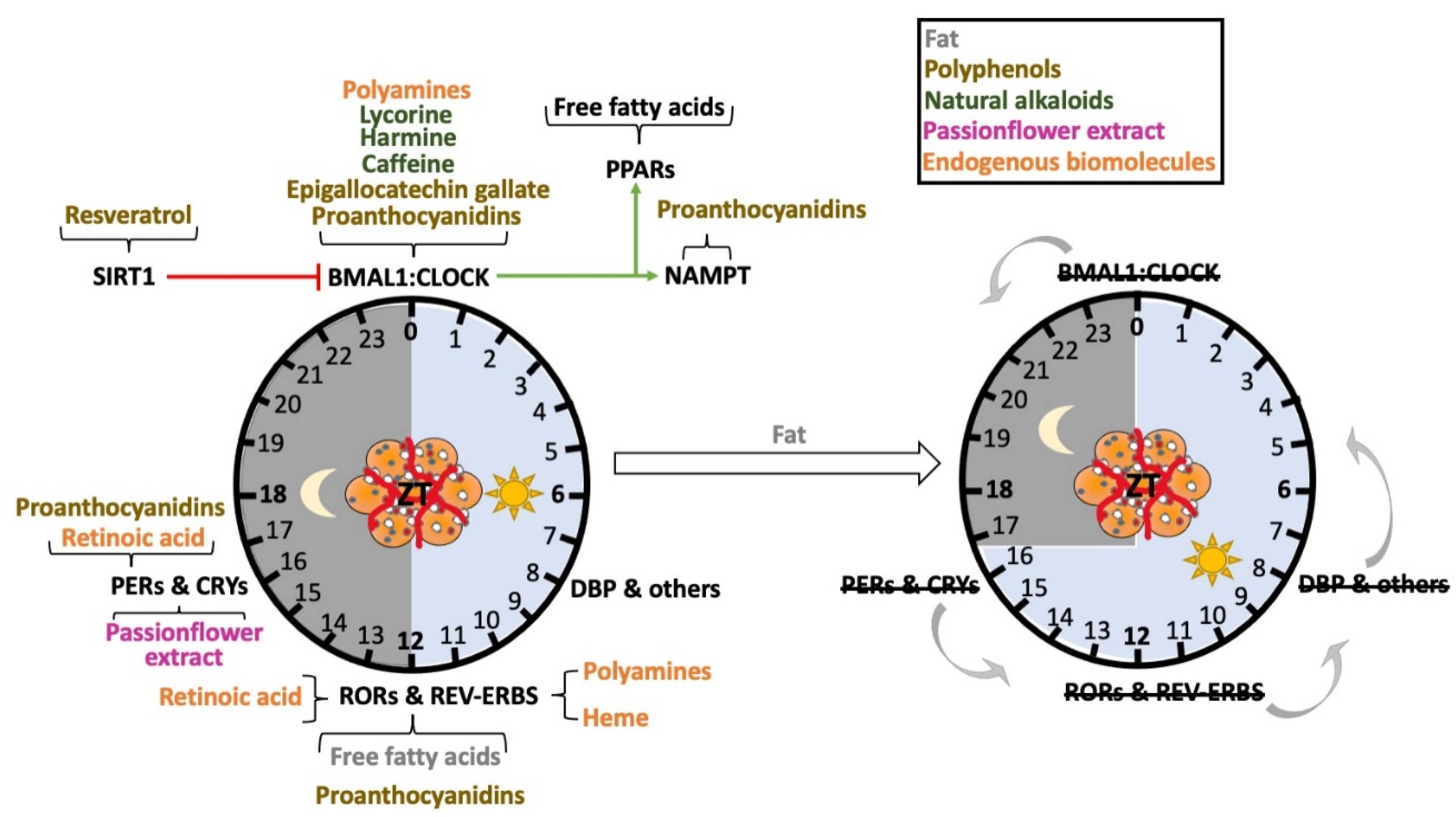 Nutrients 14 02084 g003