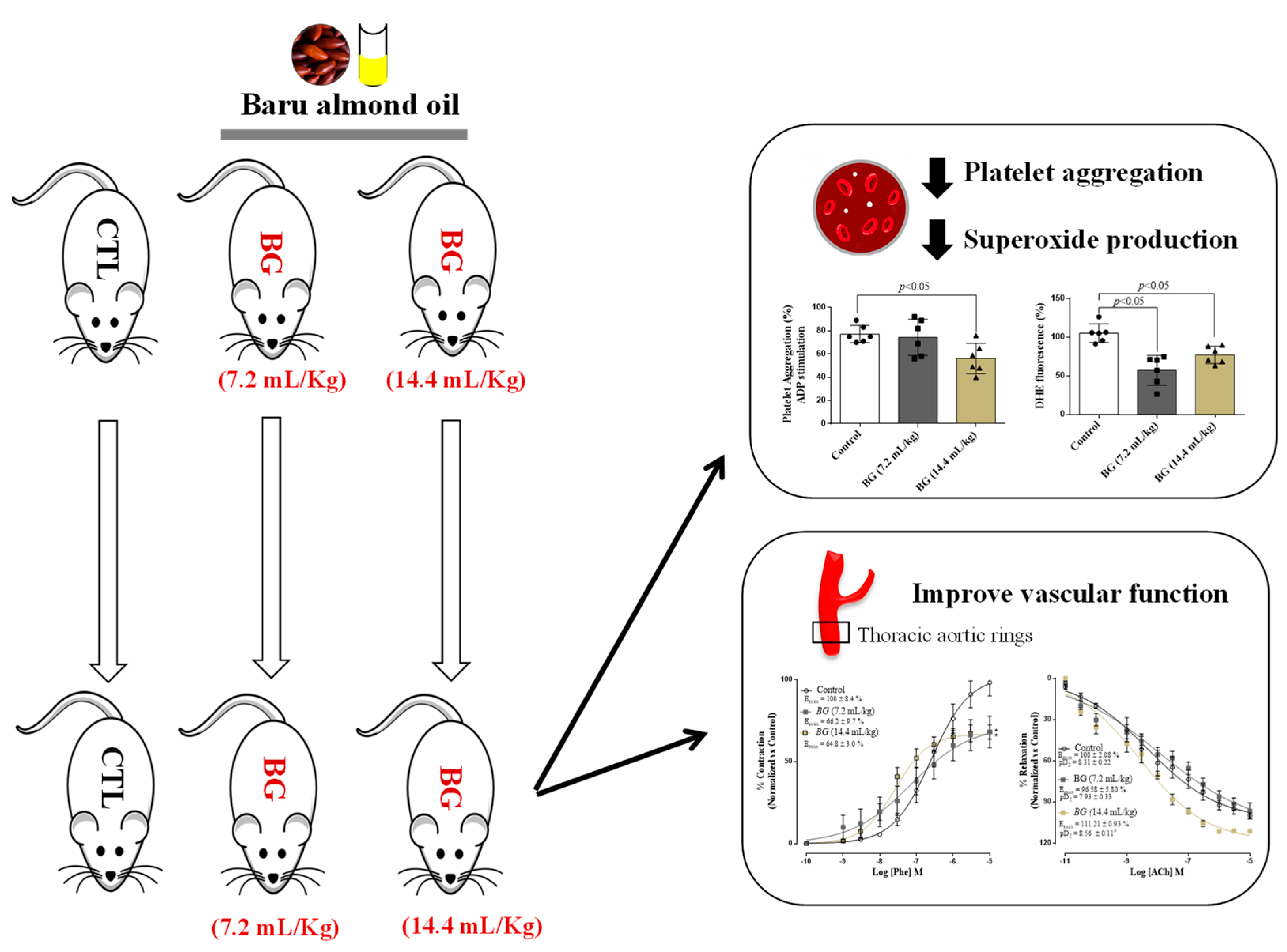 Nutrients 14 02098 g005