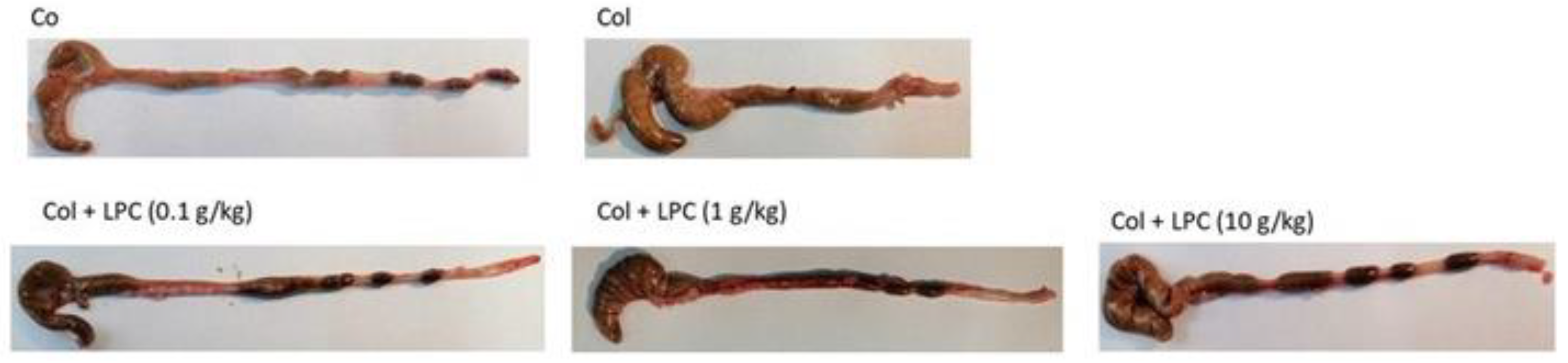 Nutrients 14 02102 g001