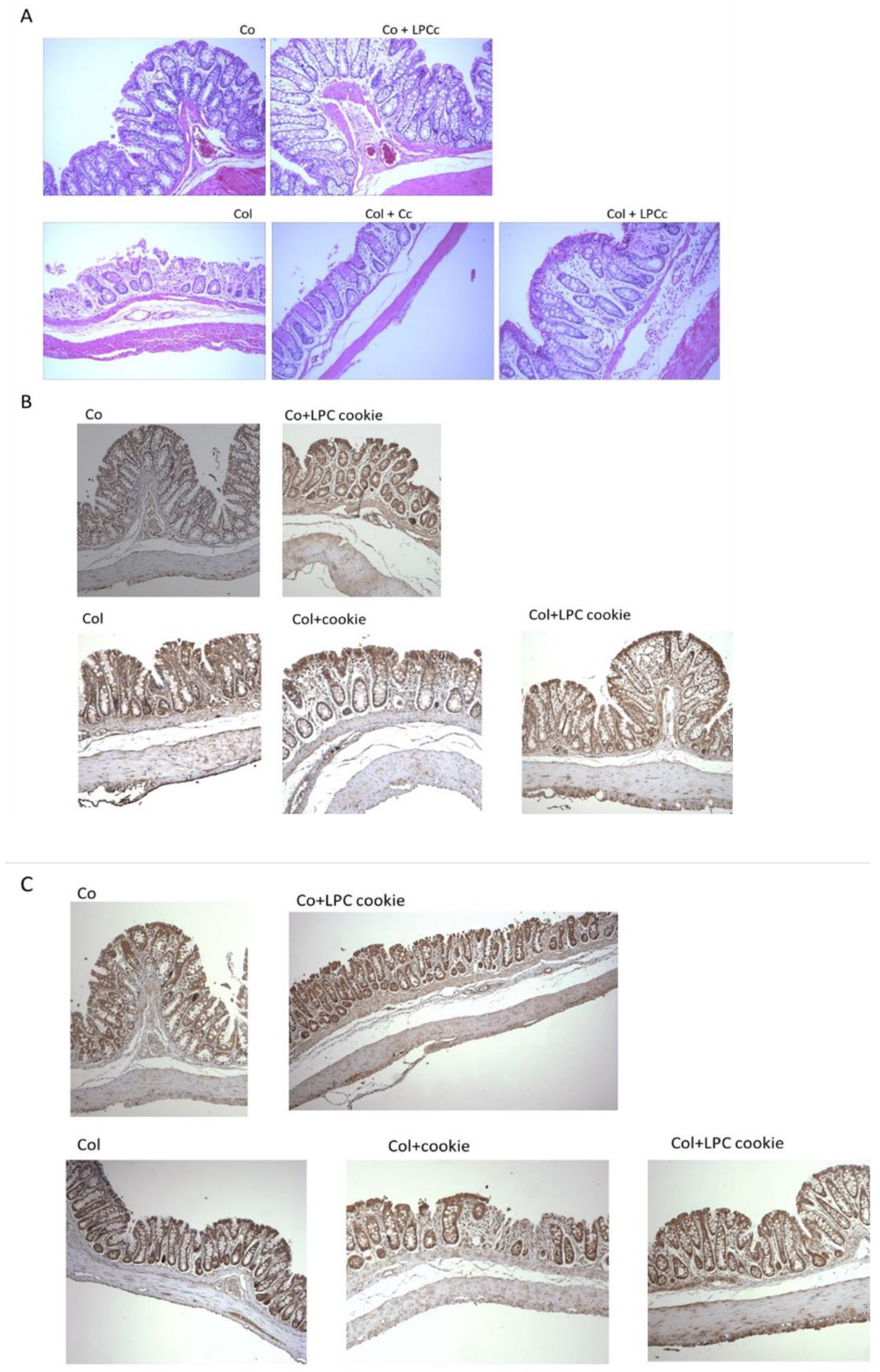 Nutrients 14 02102 g004
