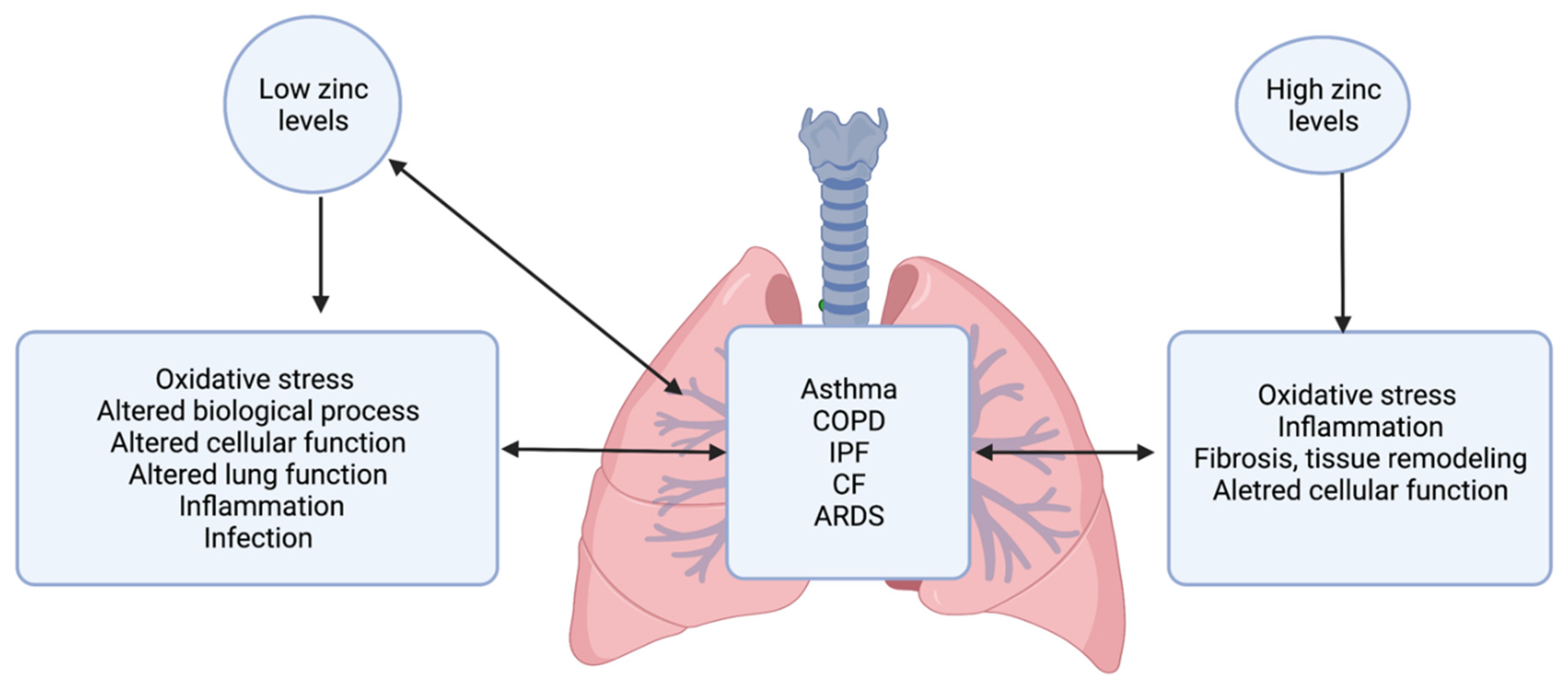 Nutrients Free FullText The Role of Zinc in the Pathogenesis of