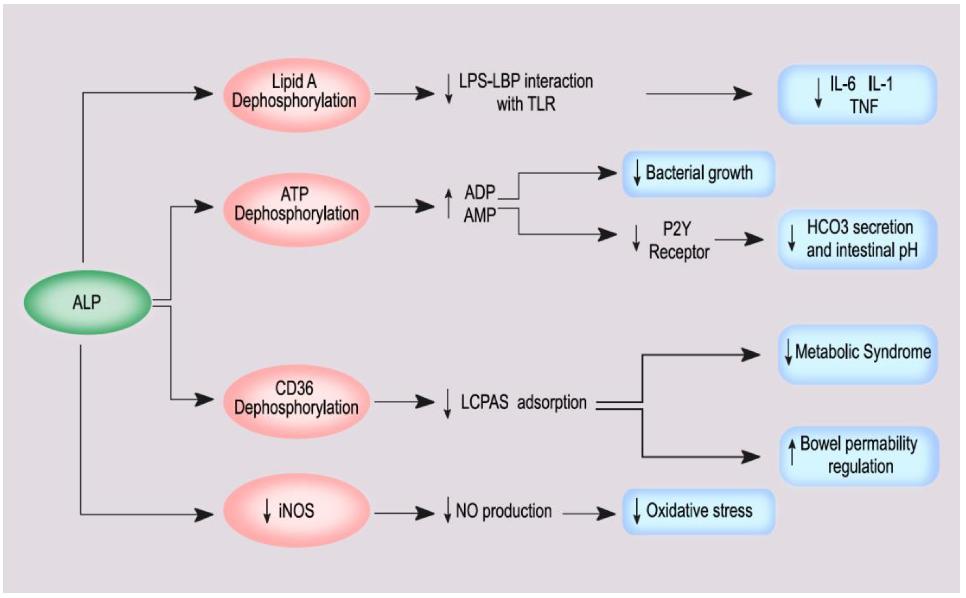 Nutrients 14 02124 g003