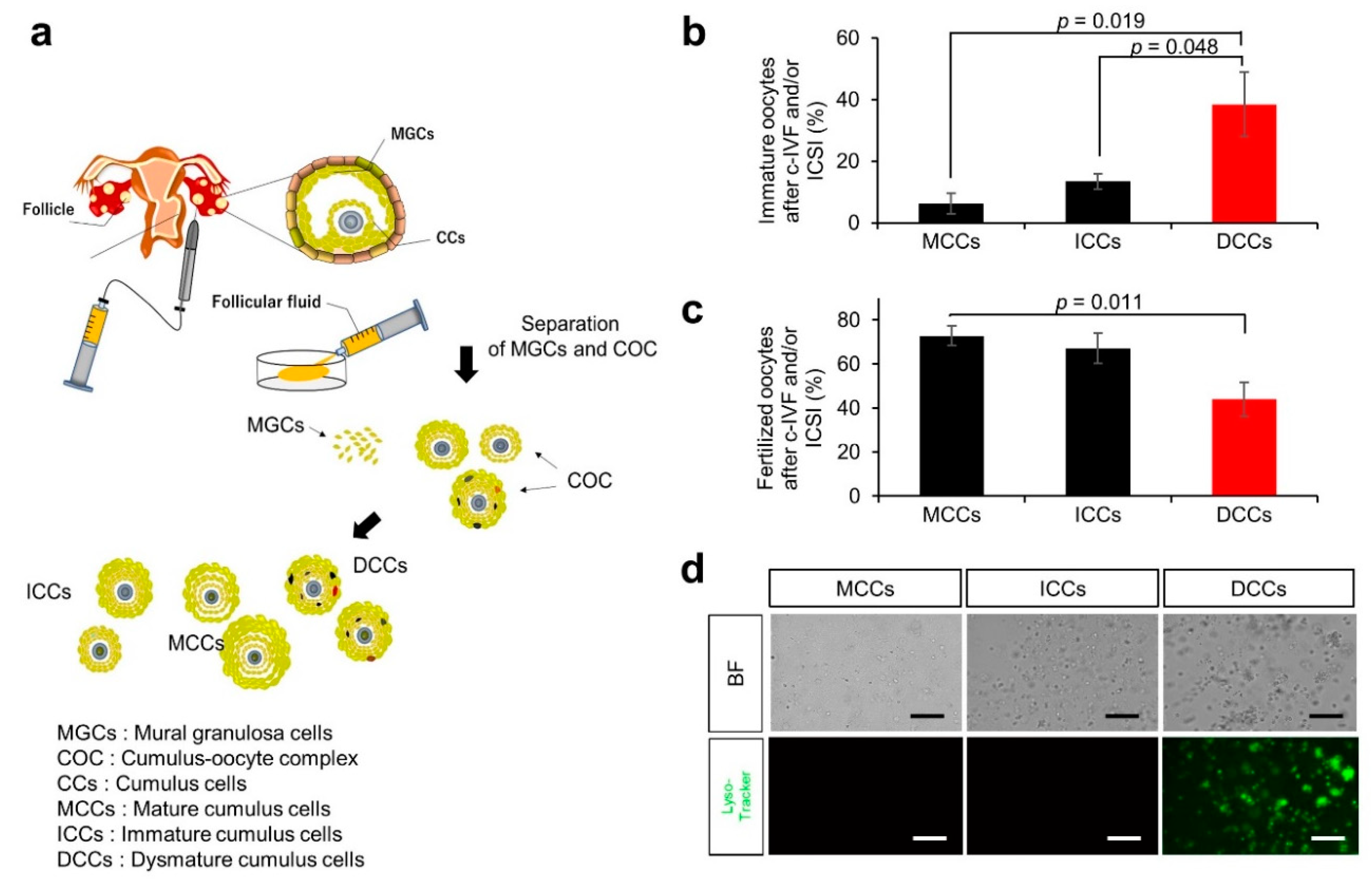 Nutrients 14 02156 g001