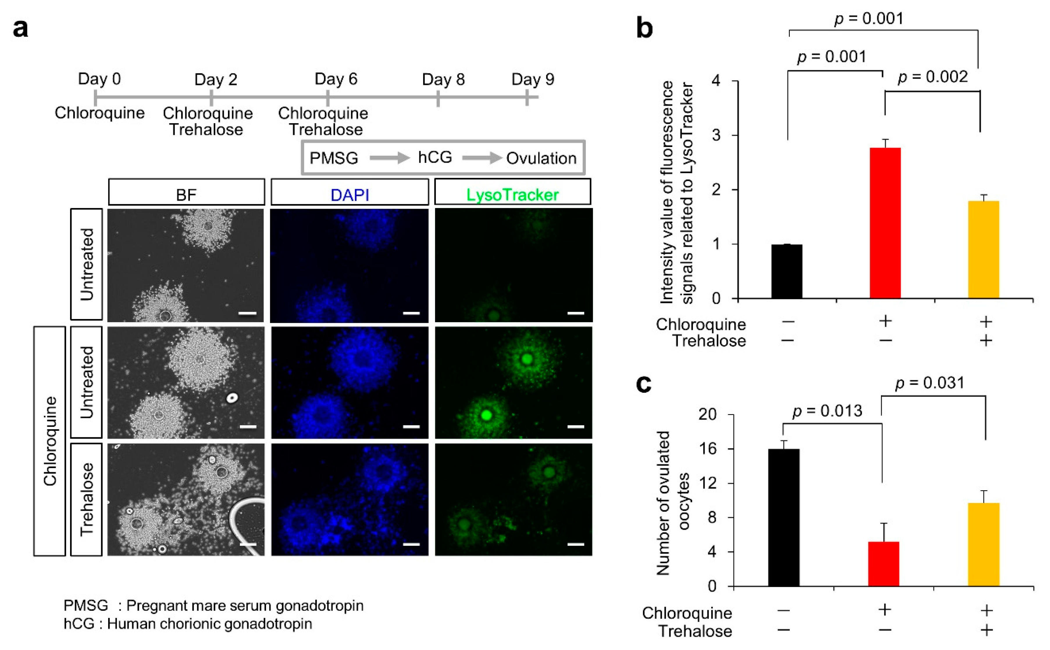 Nutrients 14 02156 g005
