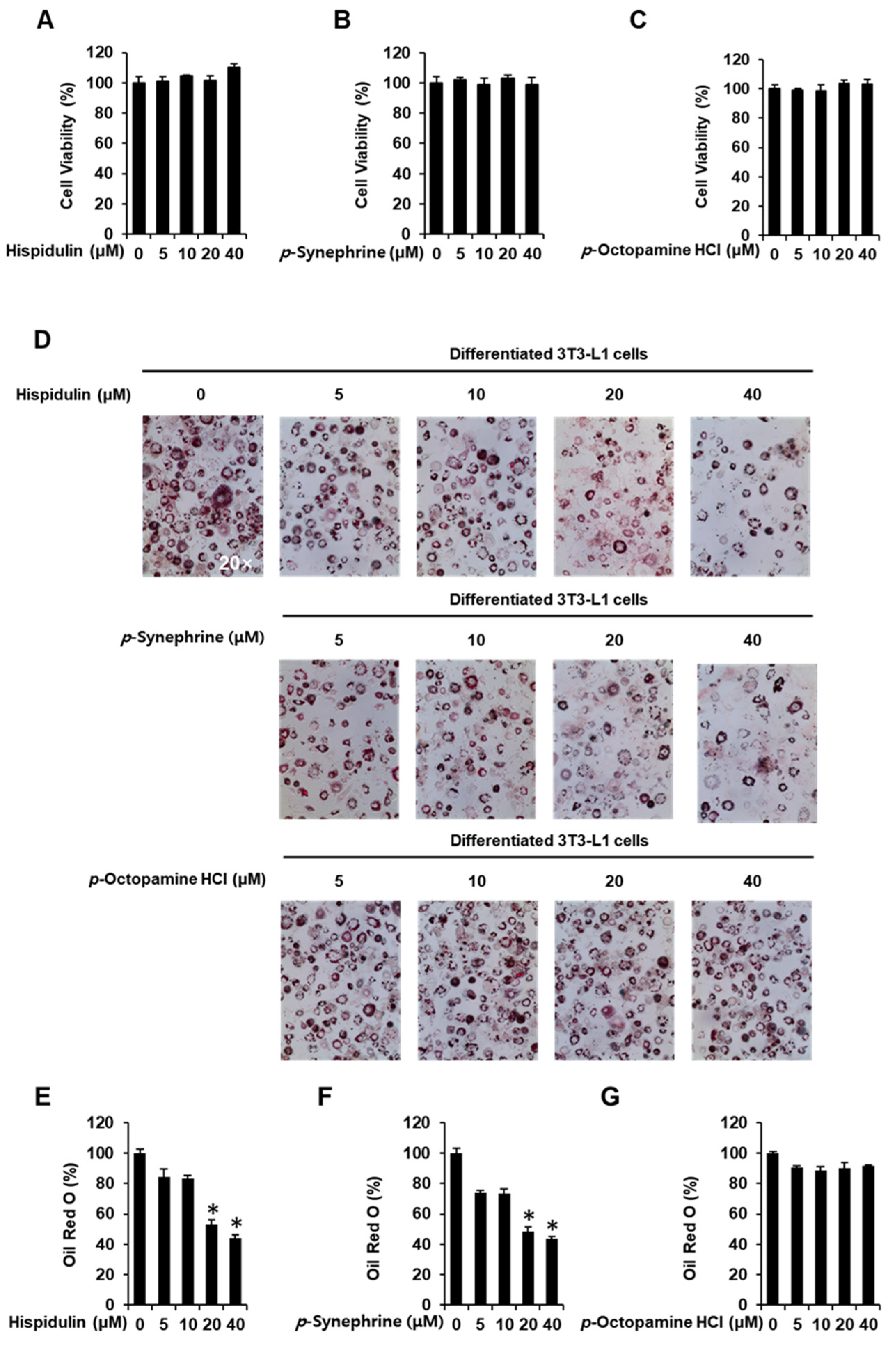 Nutrients 14 02164 g001 550