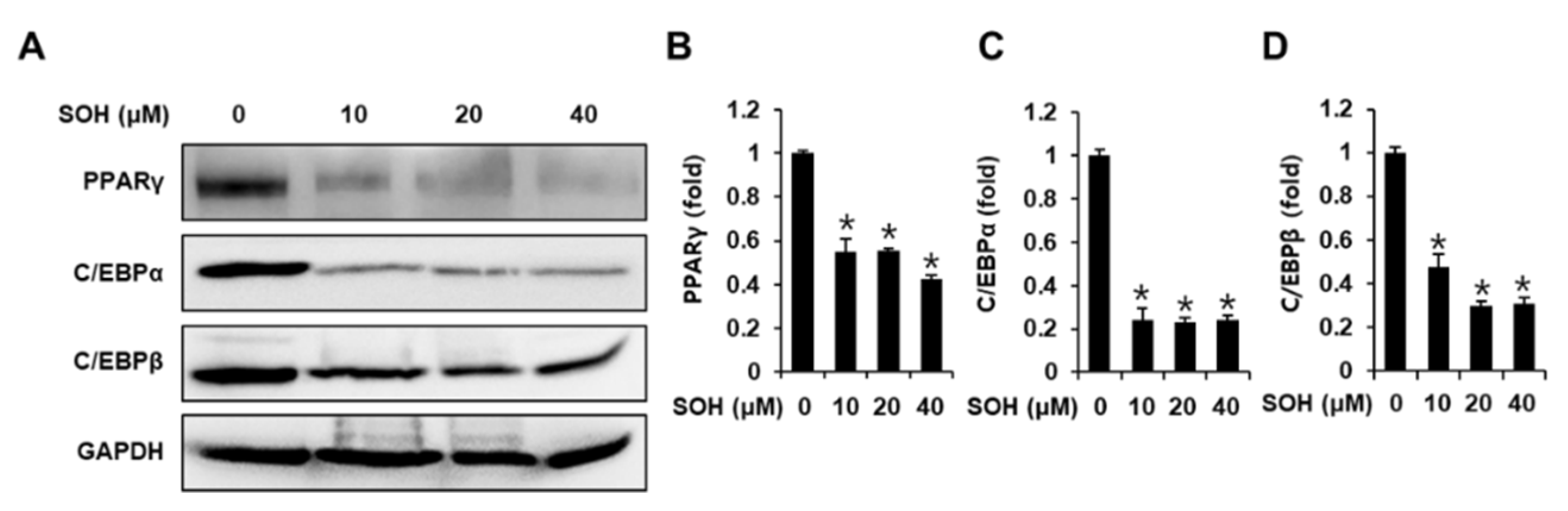 Nutrients 14 02164 g003 550