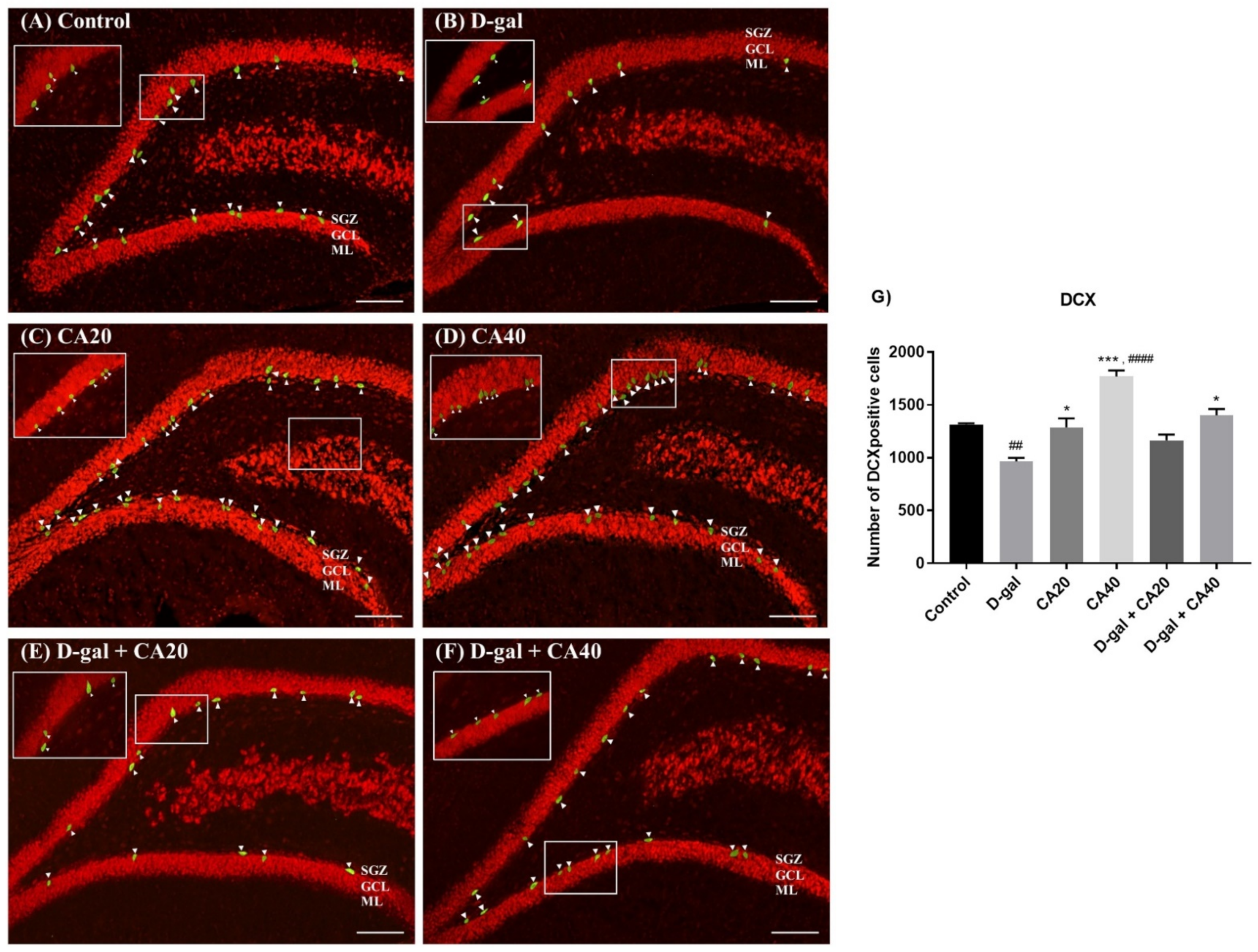 Nutrients 14 02169 g007 Nutrients 14 02169 g007