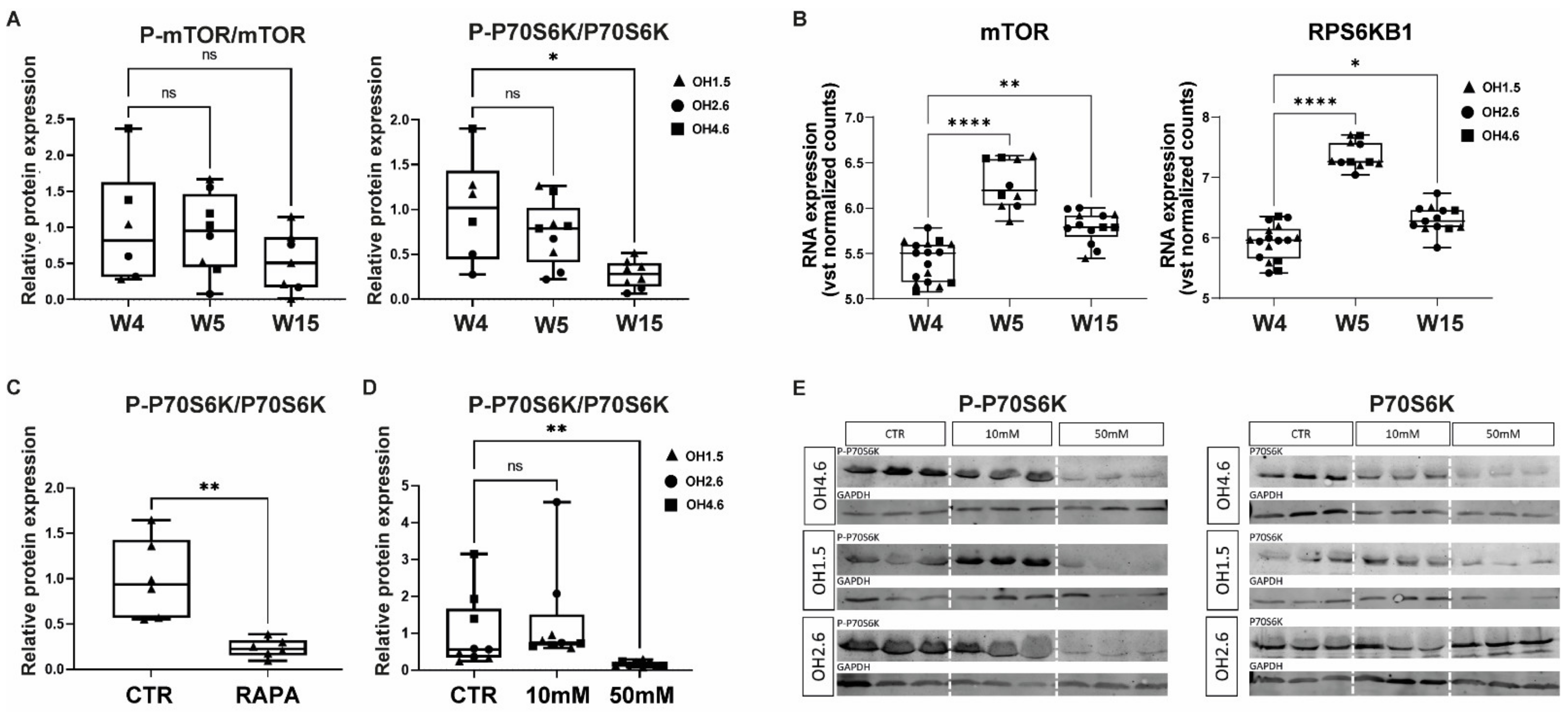 Nutrients 14 02175 g002