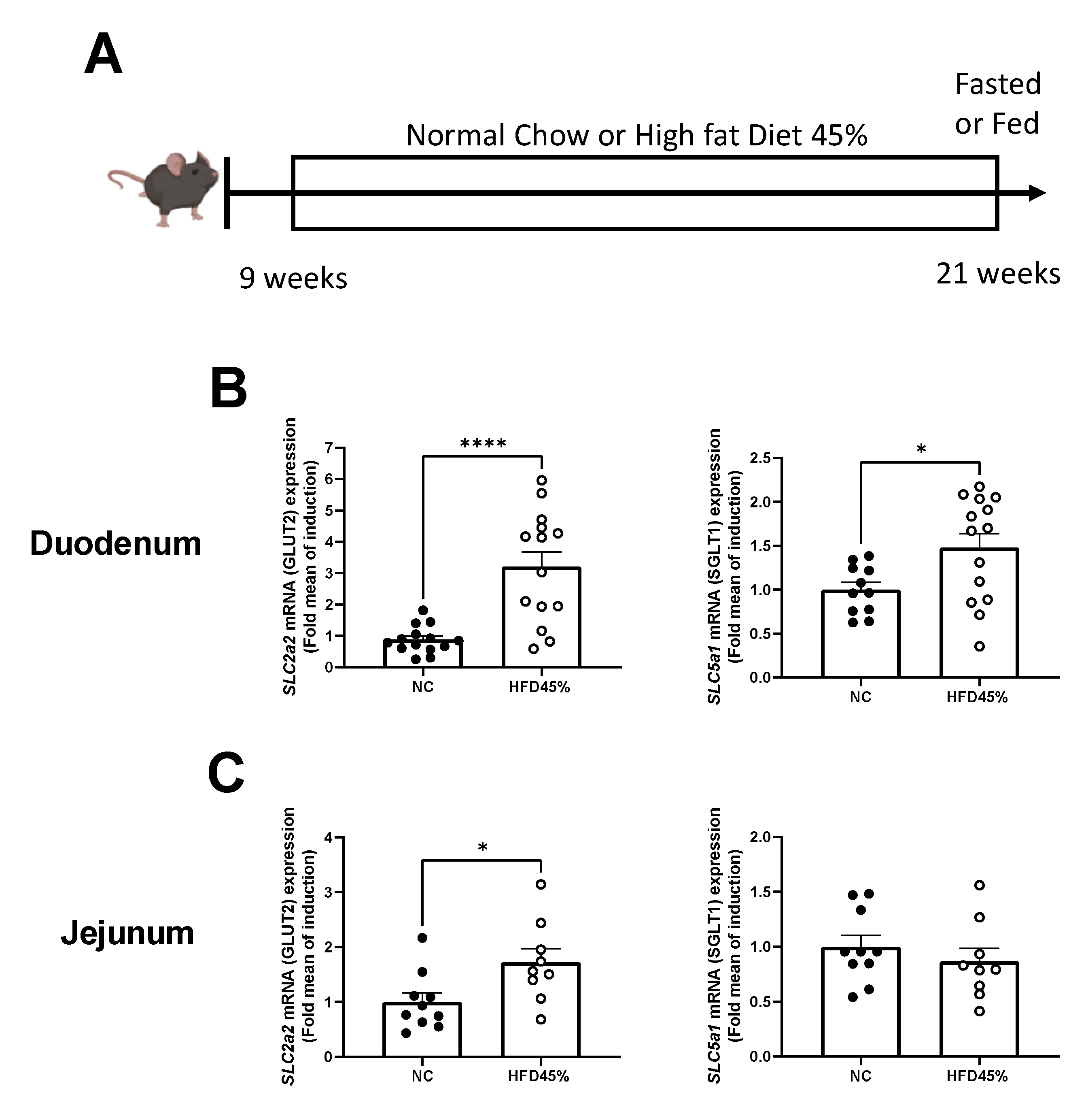 Nutrients 14 02176 g001 Nutrients 14 02176 g001