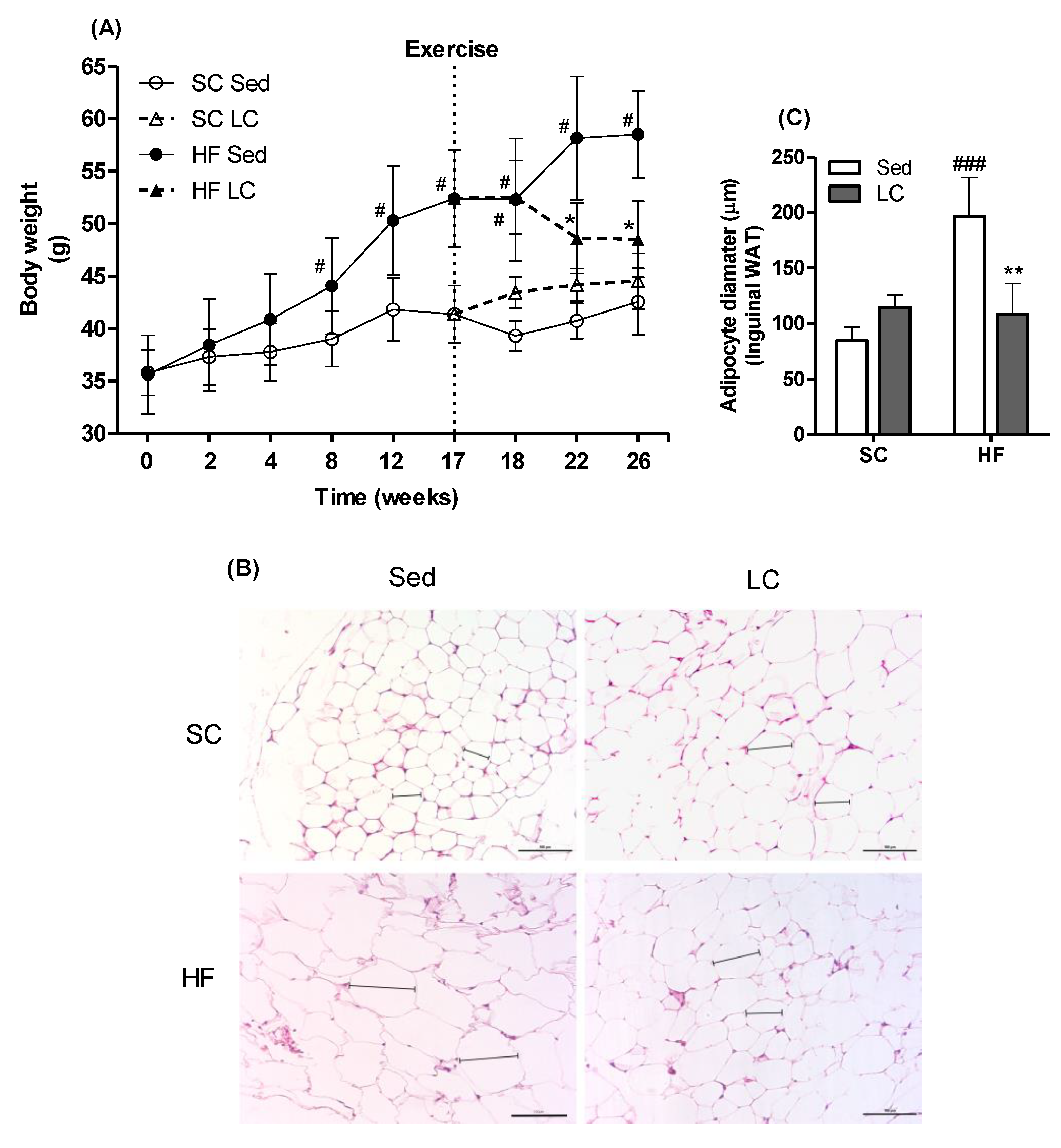 Nutrients 14 02179 g002