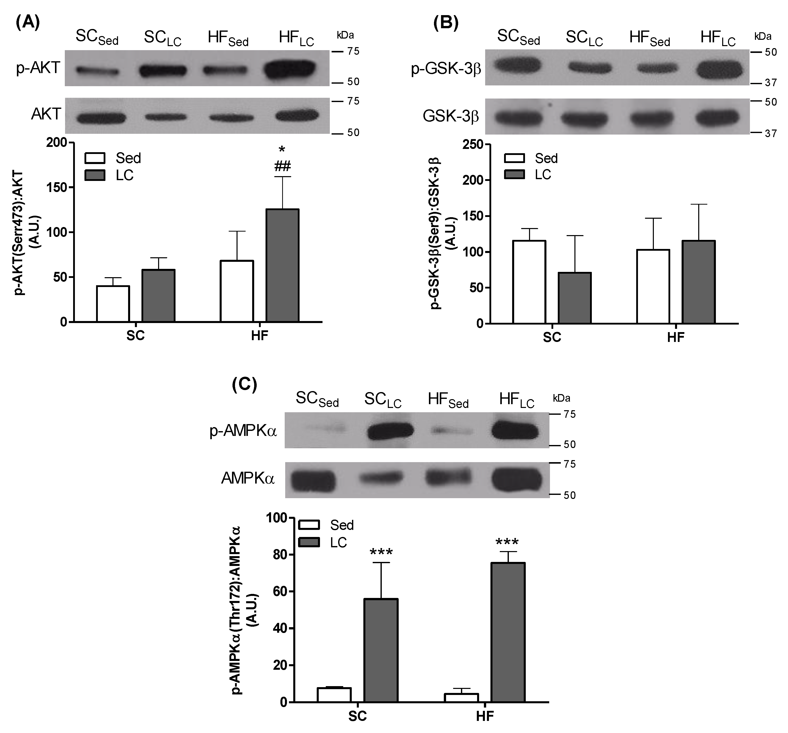 Nutrients 14 02179 g004