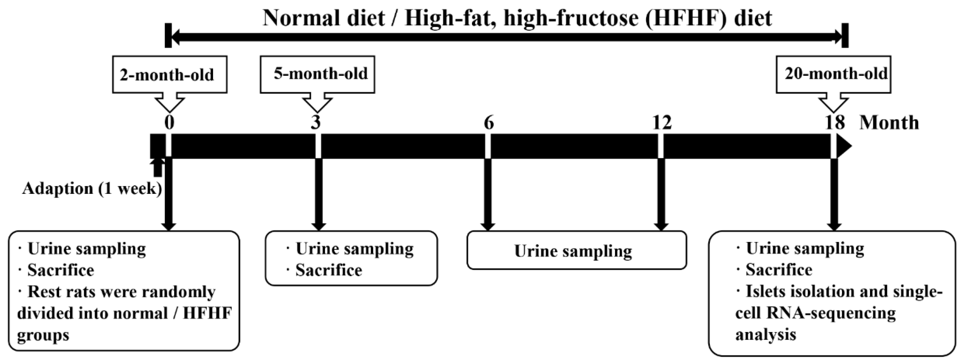 Nutrients 14 02181 g001