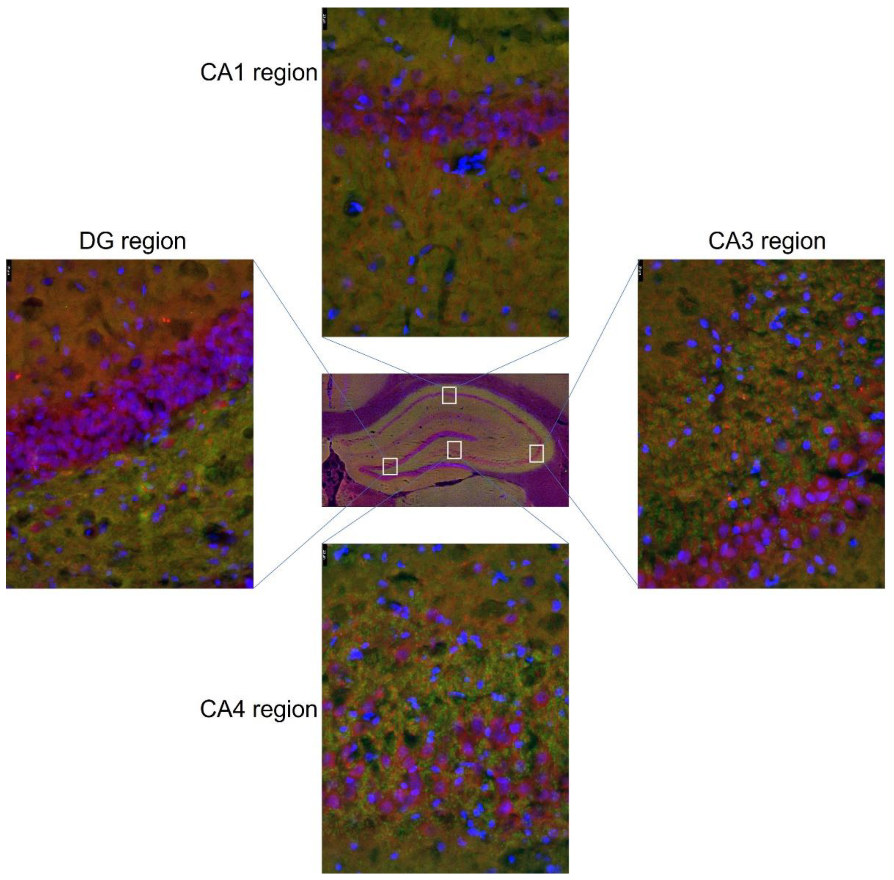 Nutrients 14 02184 g003