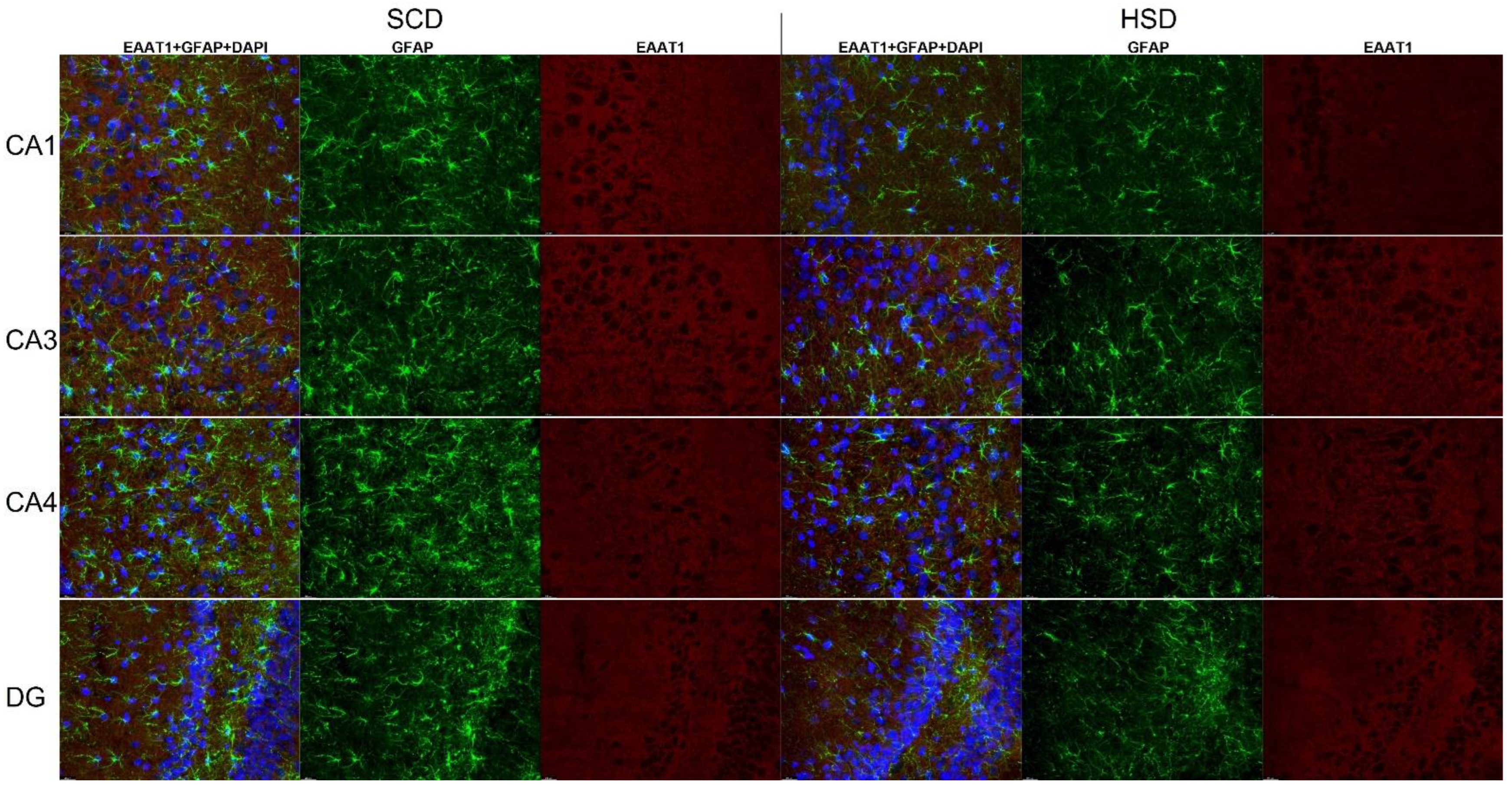 Nutrients 14 02184 g008