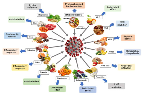 Nutrients | Free Full-Text | Role of Diet and Nutrients in SARS-CoV-2 ...