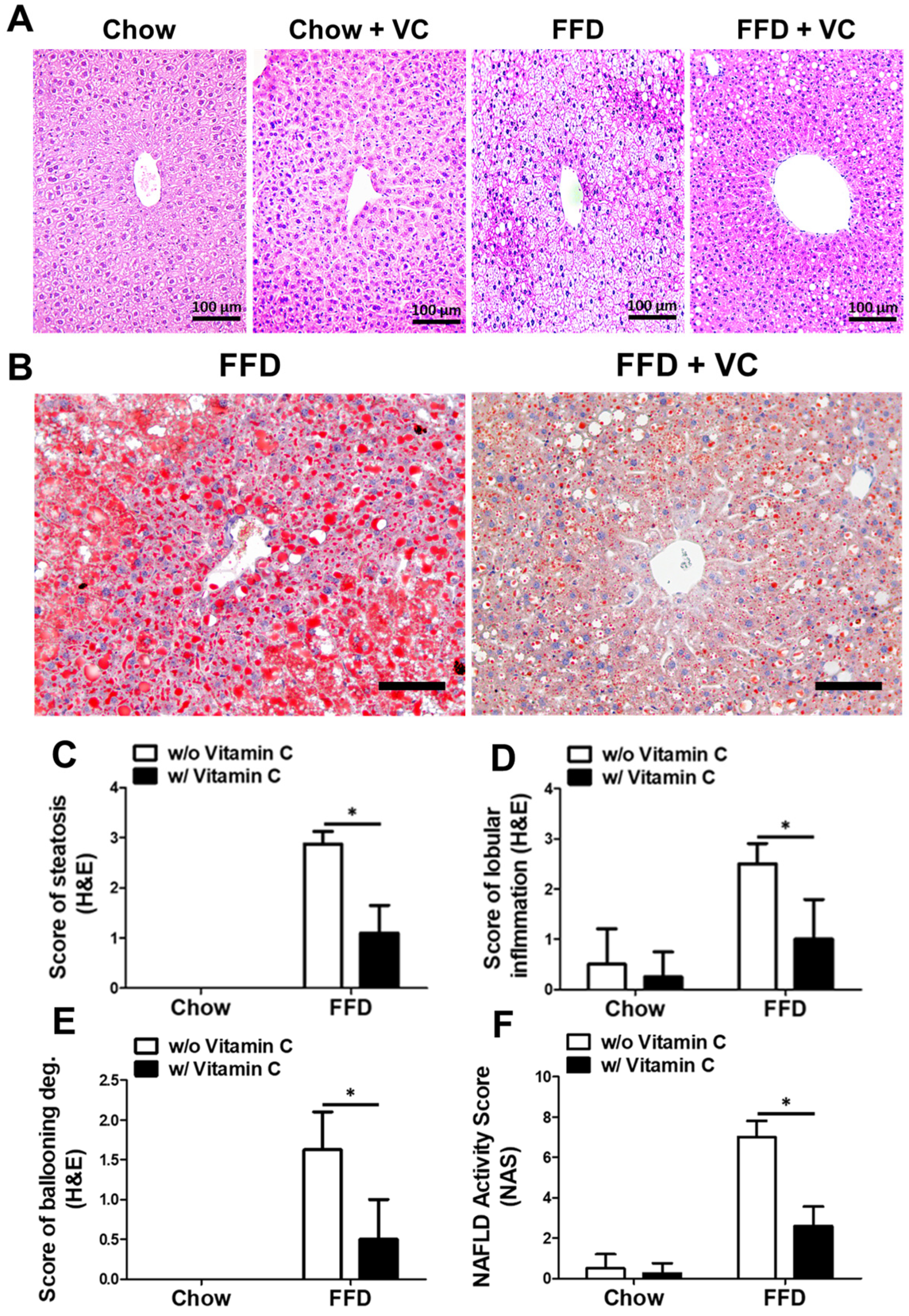 Nutrients 14 02195 g003