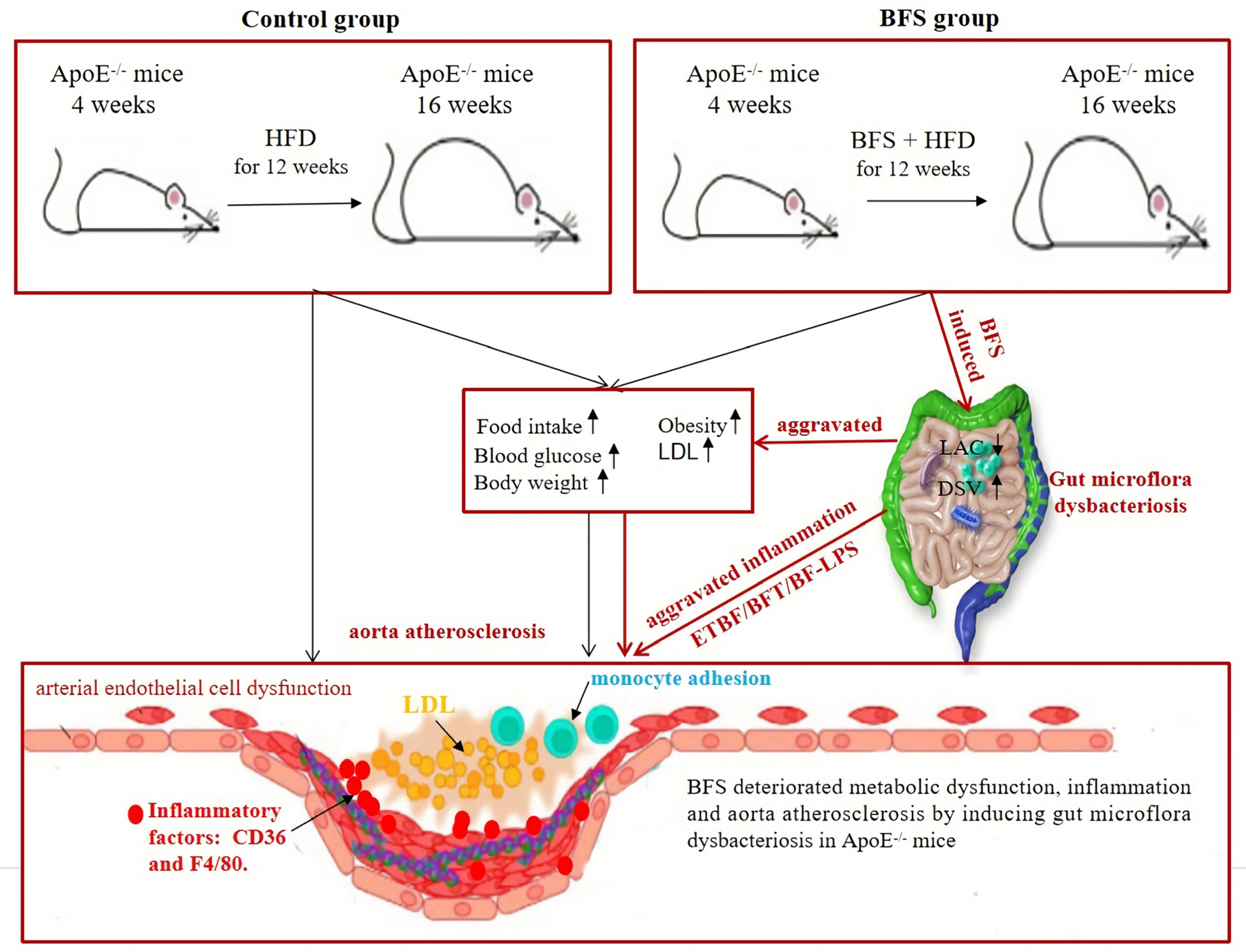 Nutrients 14 02199 g005 Nutrients 14 02199 g005