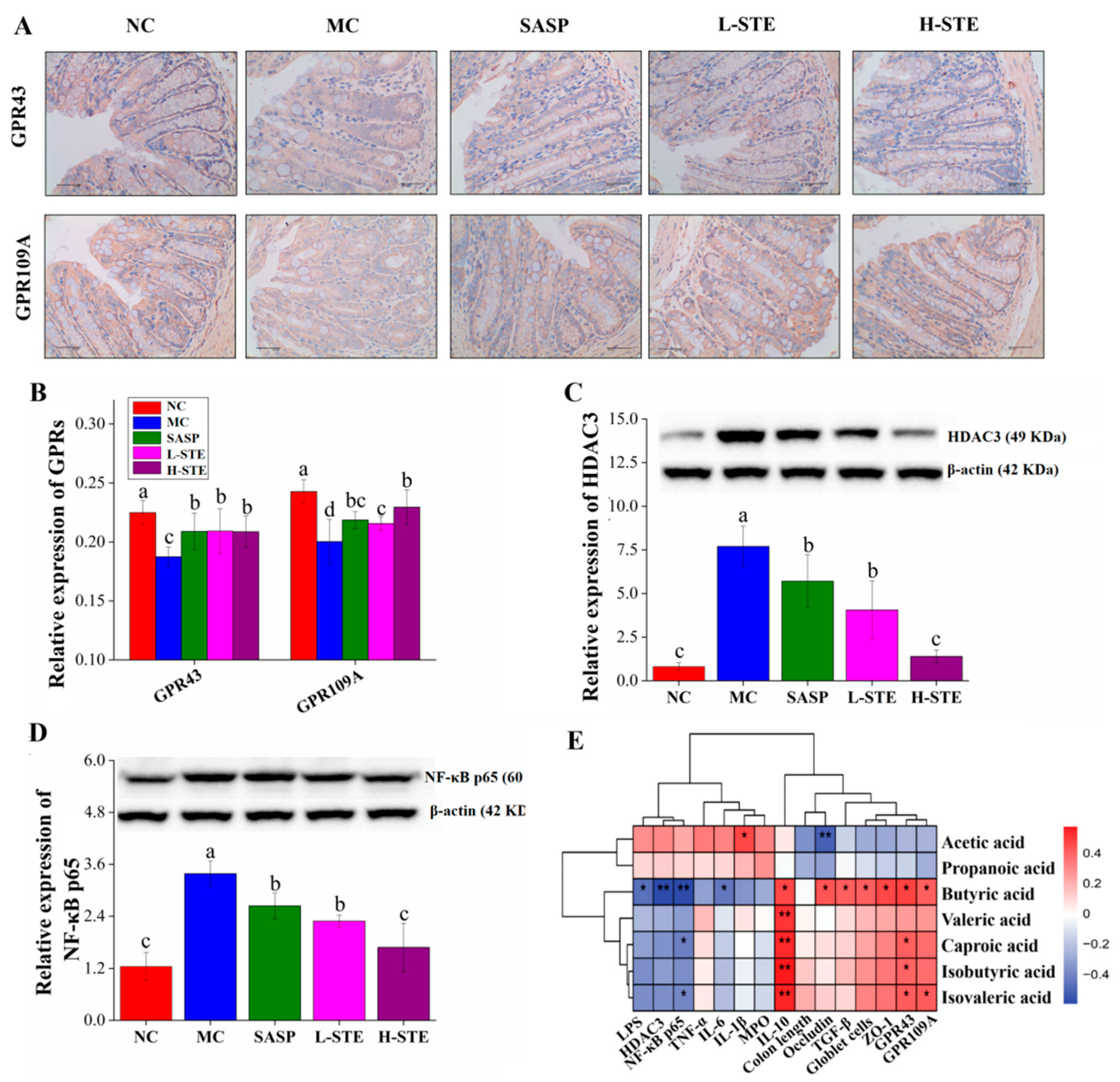 Nutrients 14 02208 g005