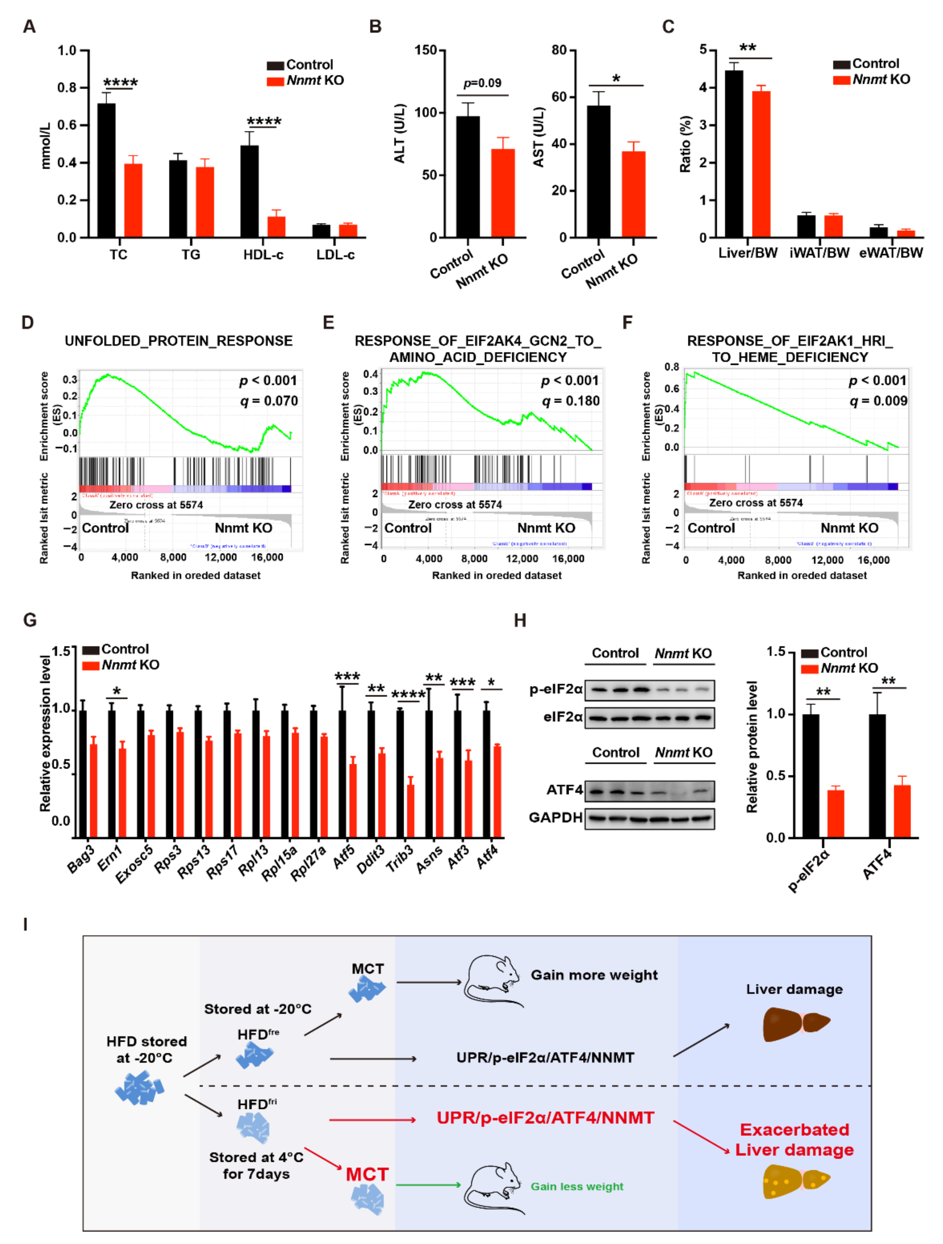 Nutrients 14 02222 g005 550