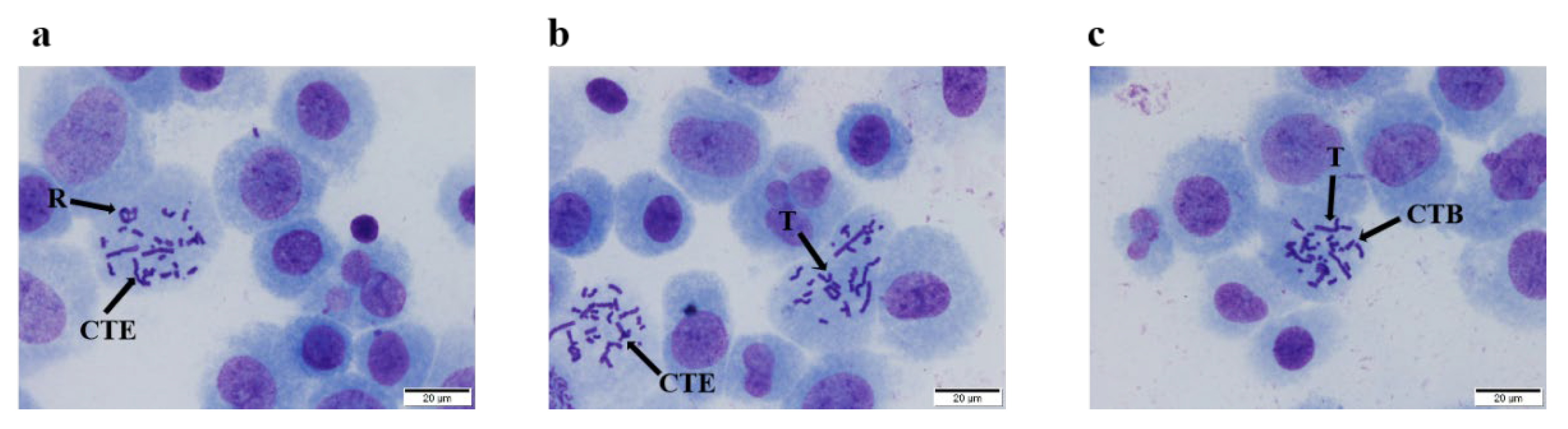 Nutrients 14 02238 g002 Nutrients 14 02238 g002
