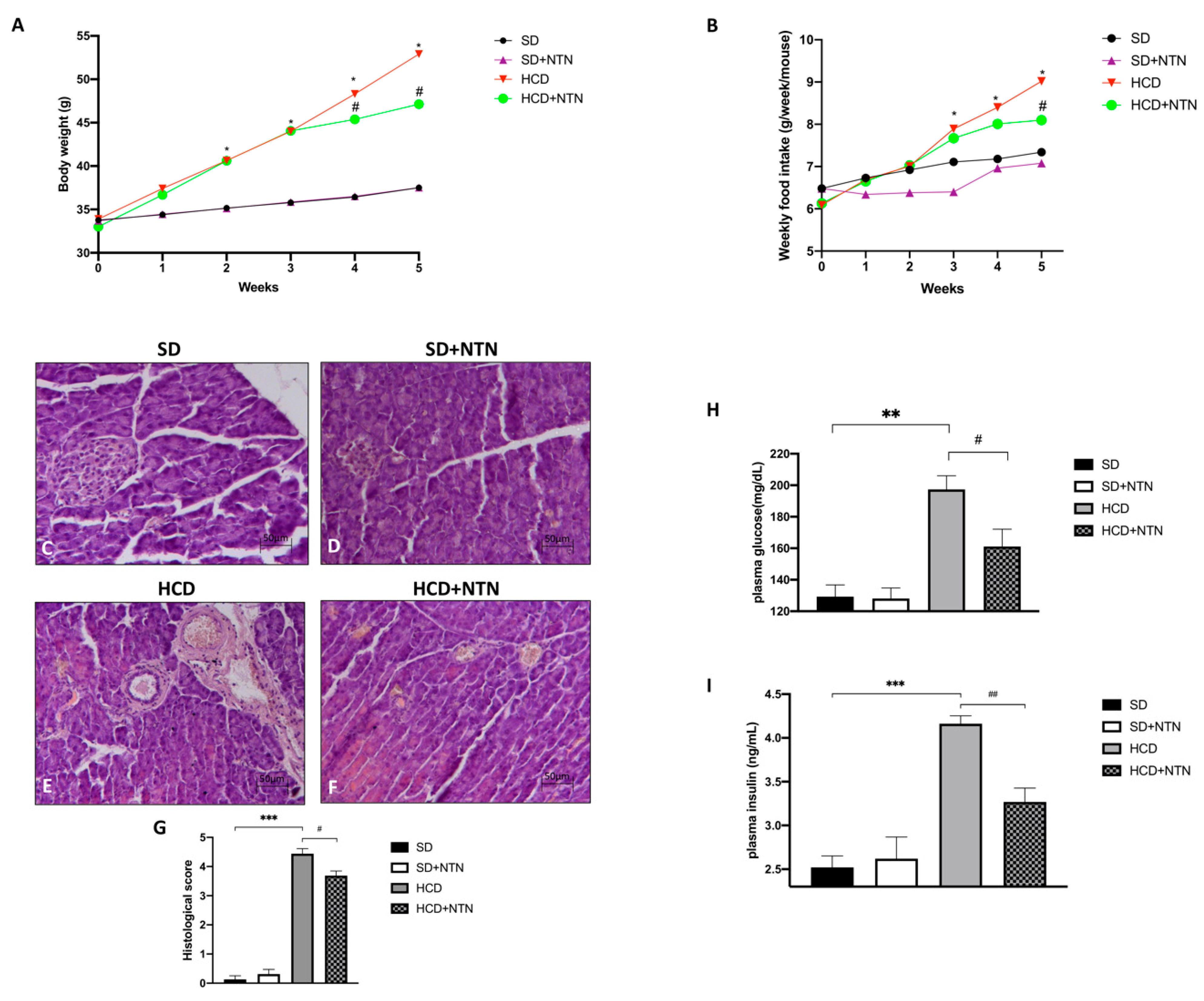 Nutrients 14 02251 g002 Nutrients 14 02251 g002