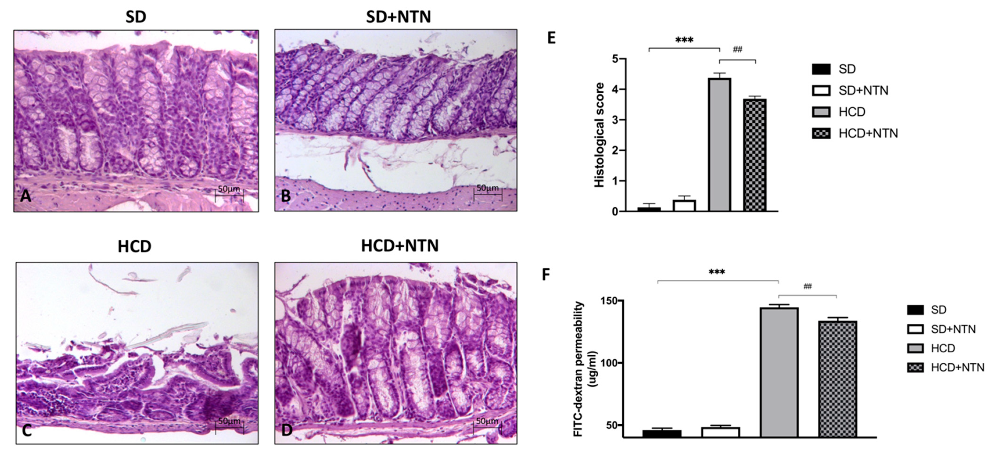 Nutrients 14 02251 g004 Nutrients 14 02251 g004