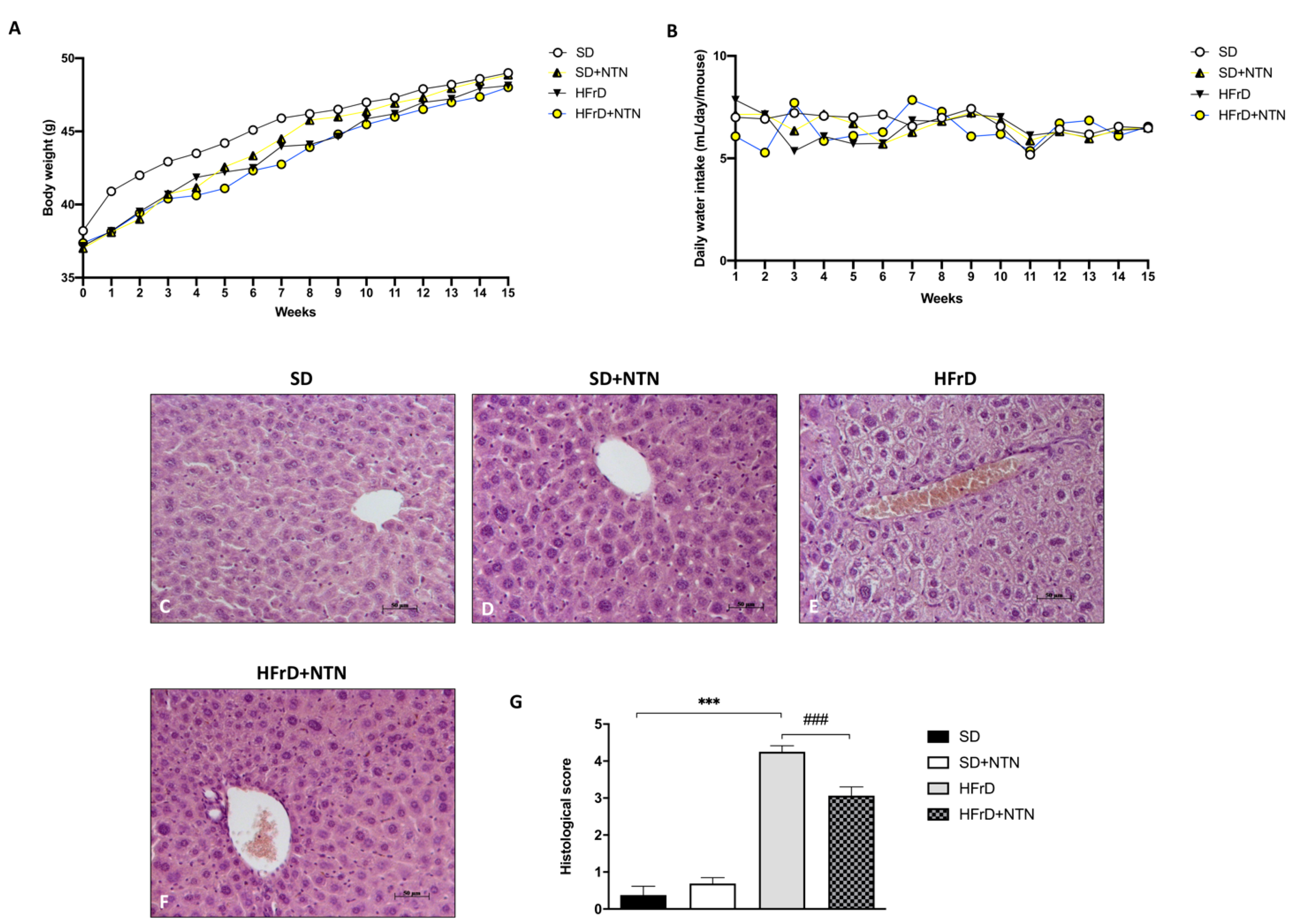 Nutrients 14 02251 g009 Nutrients 14 02251 g009