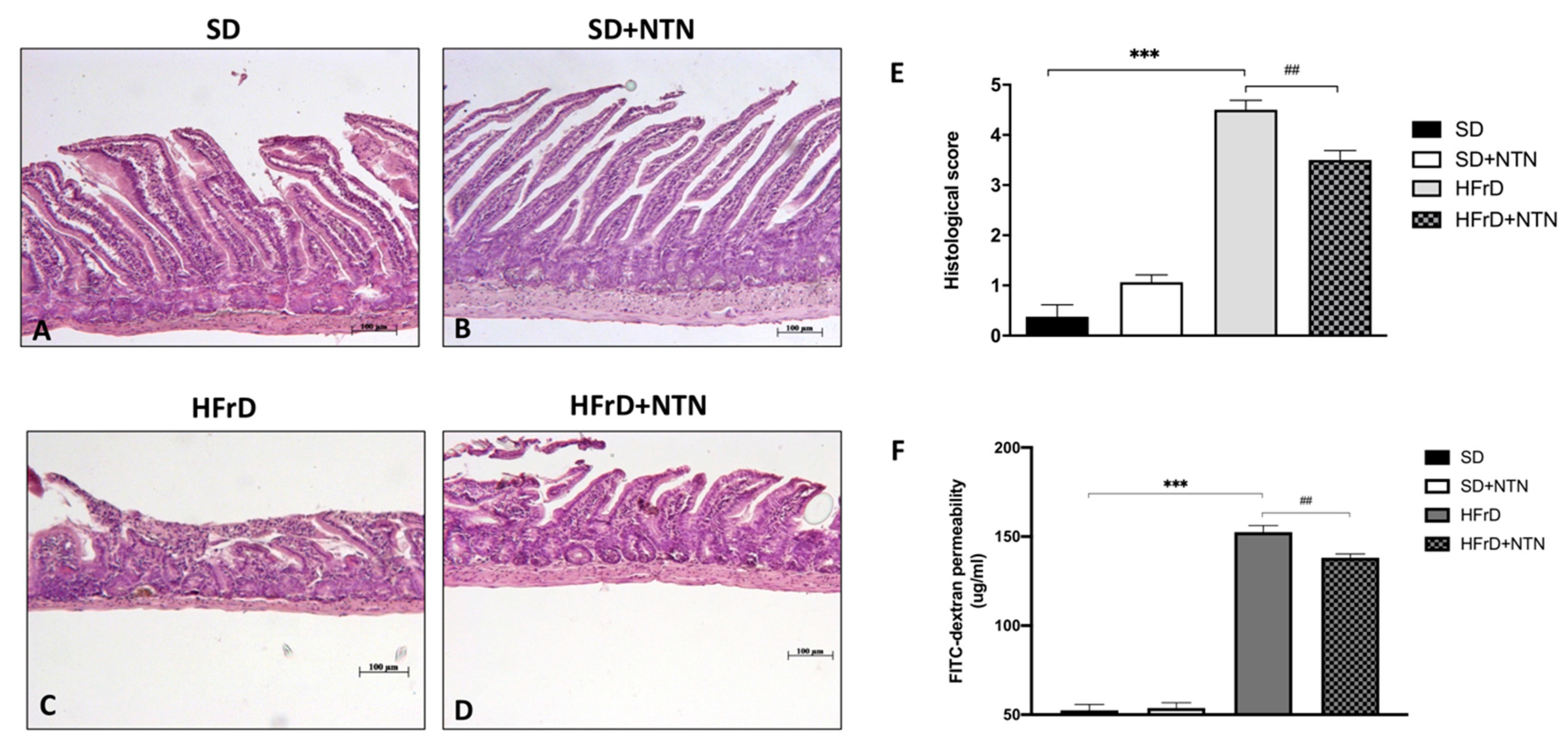 Nutrients 14 02251 g010 Nutrients 14 02251 g010
