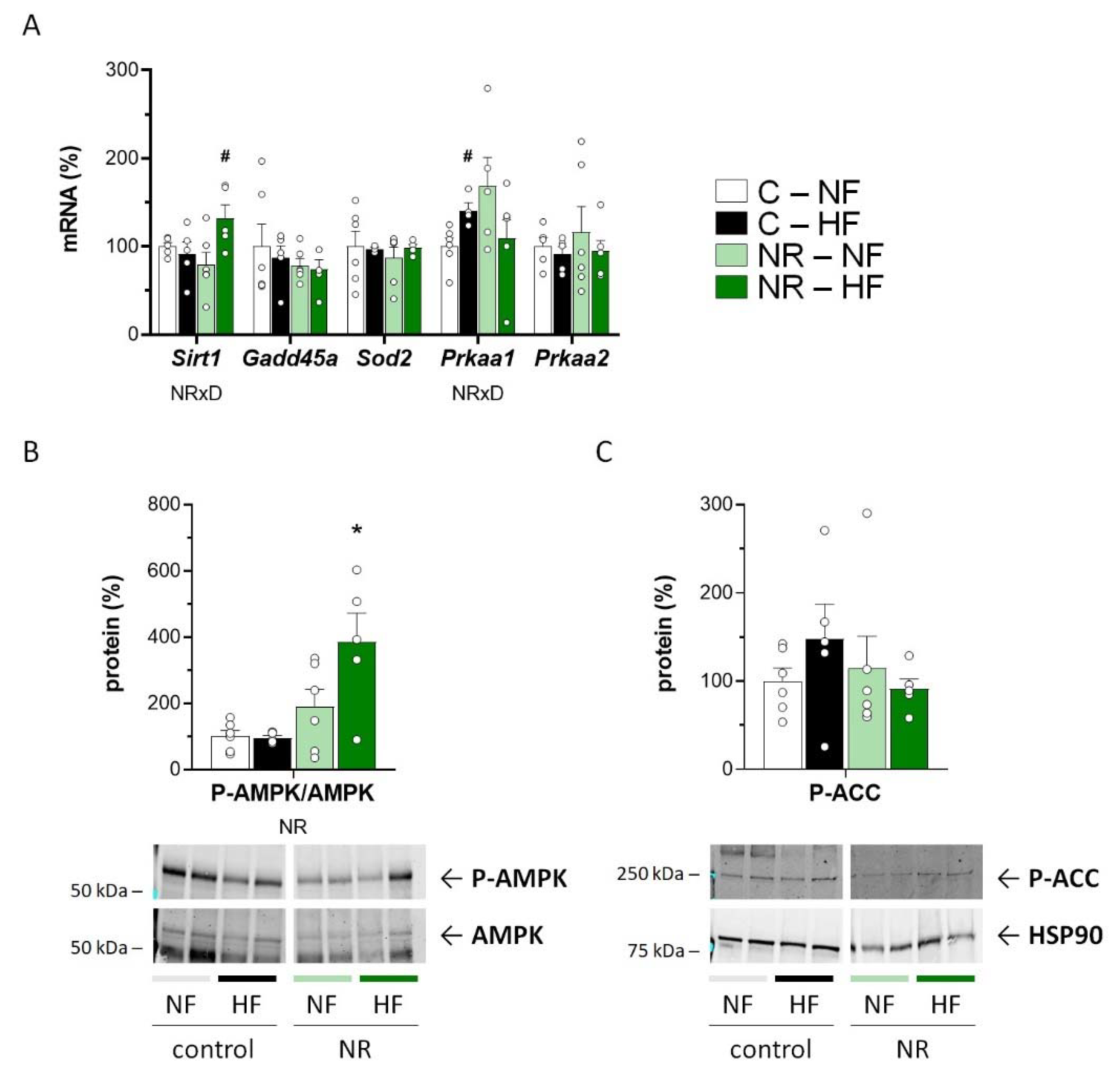 Nutrients 14 02259 g003 550