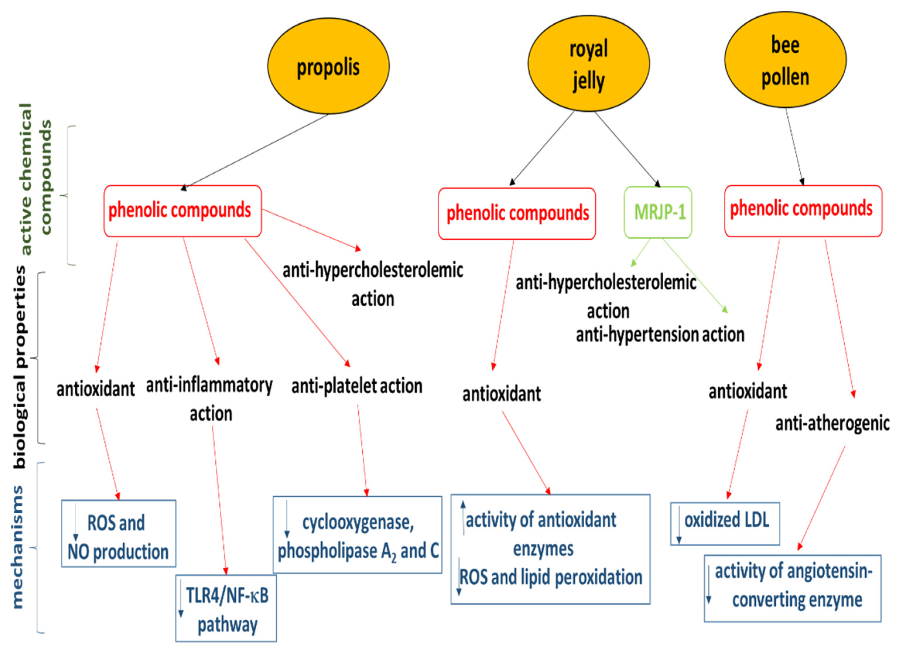 Nutrients 14 02267 g002 550