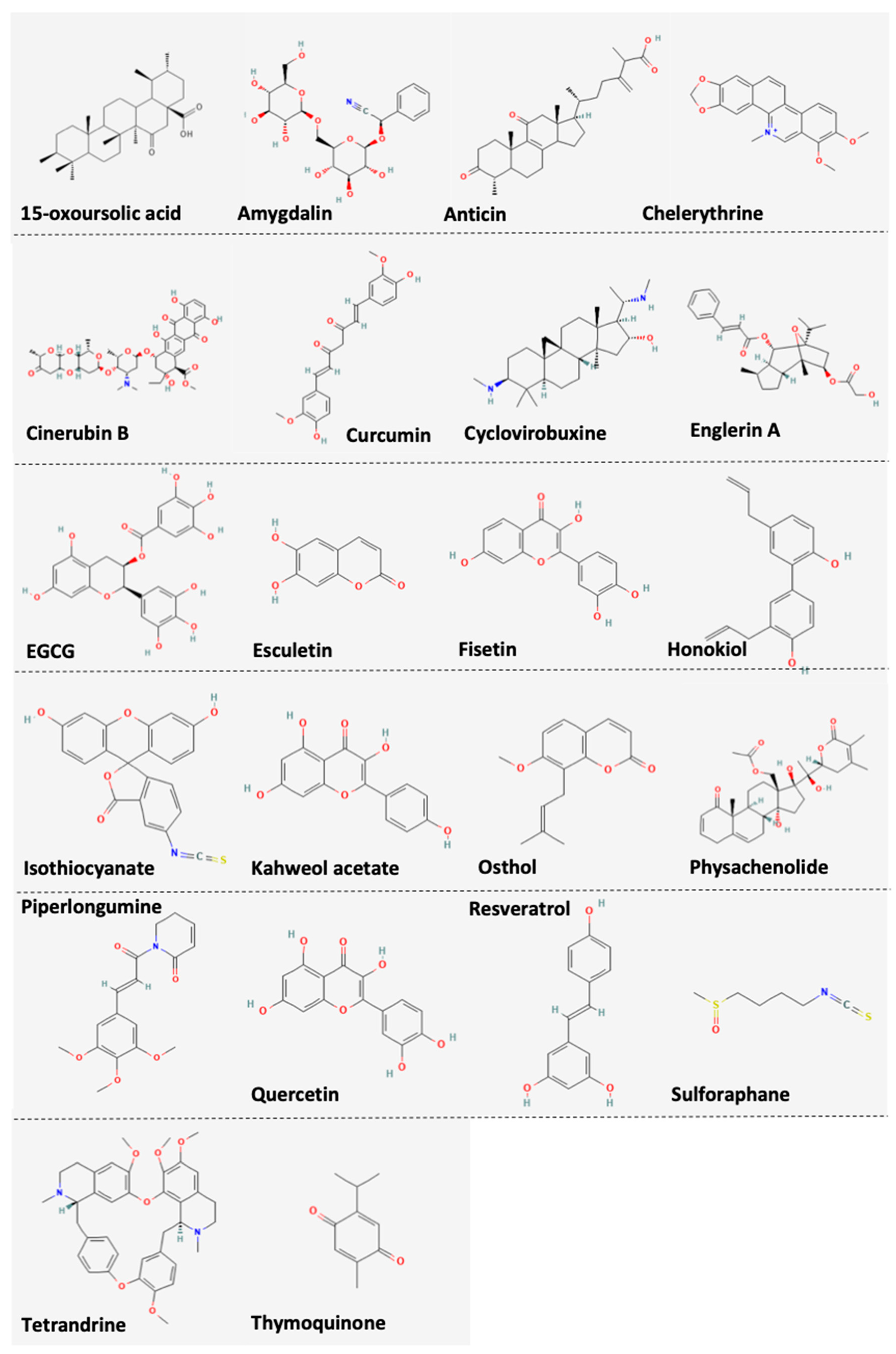 Nutrients 14 02274 g001 550