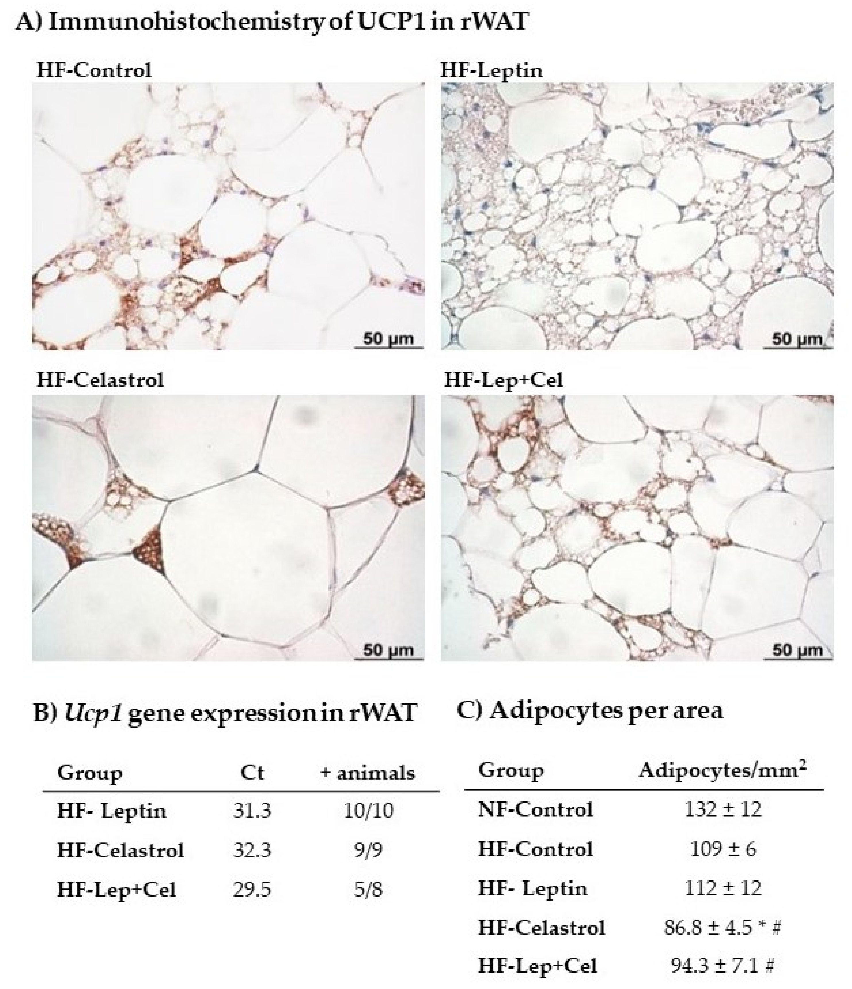 Nutrients 14 02277 g006 550