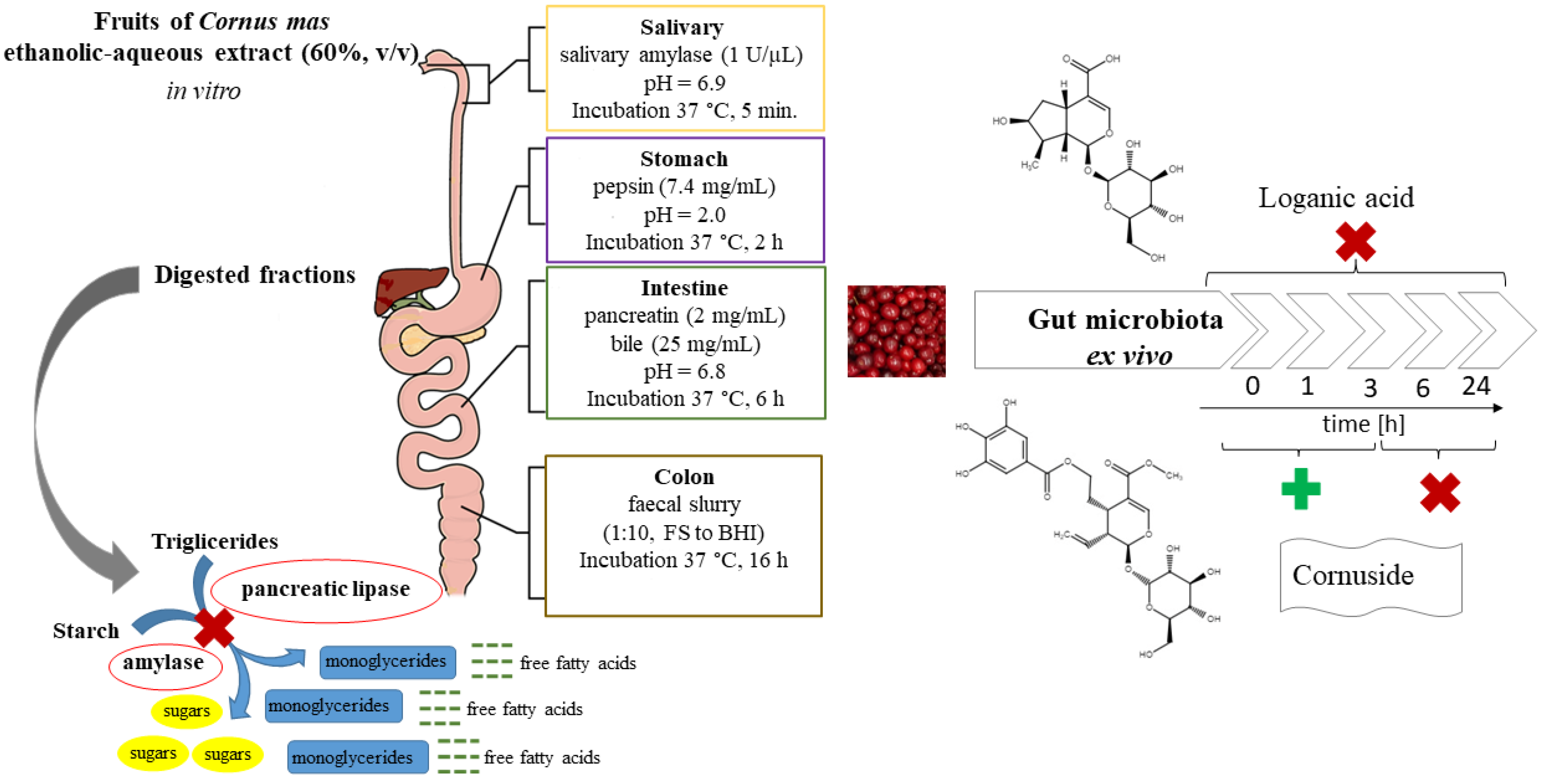 Nutrients 14 02287 g001 550