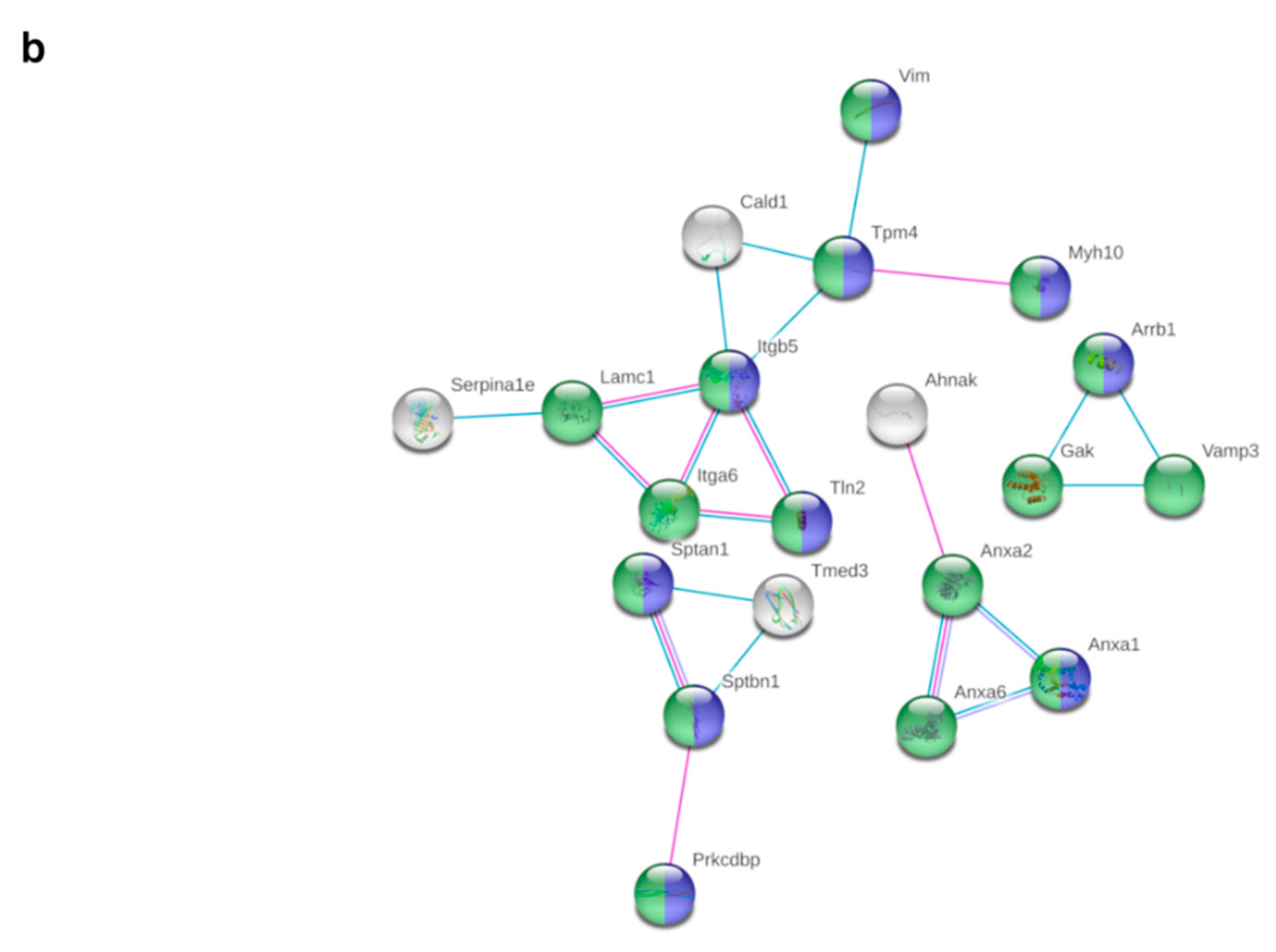 Nutrients 14 02288 g003b