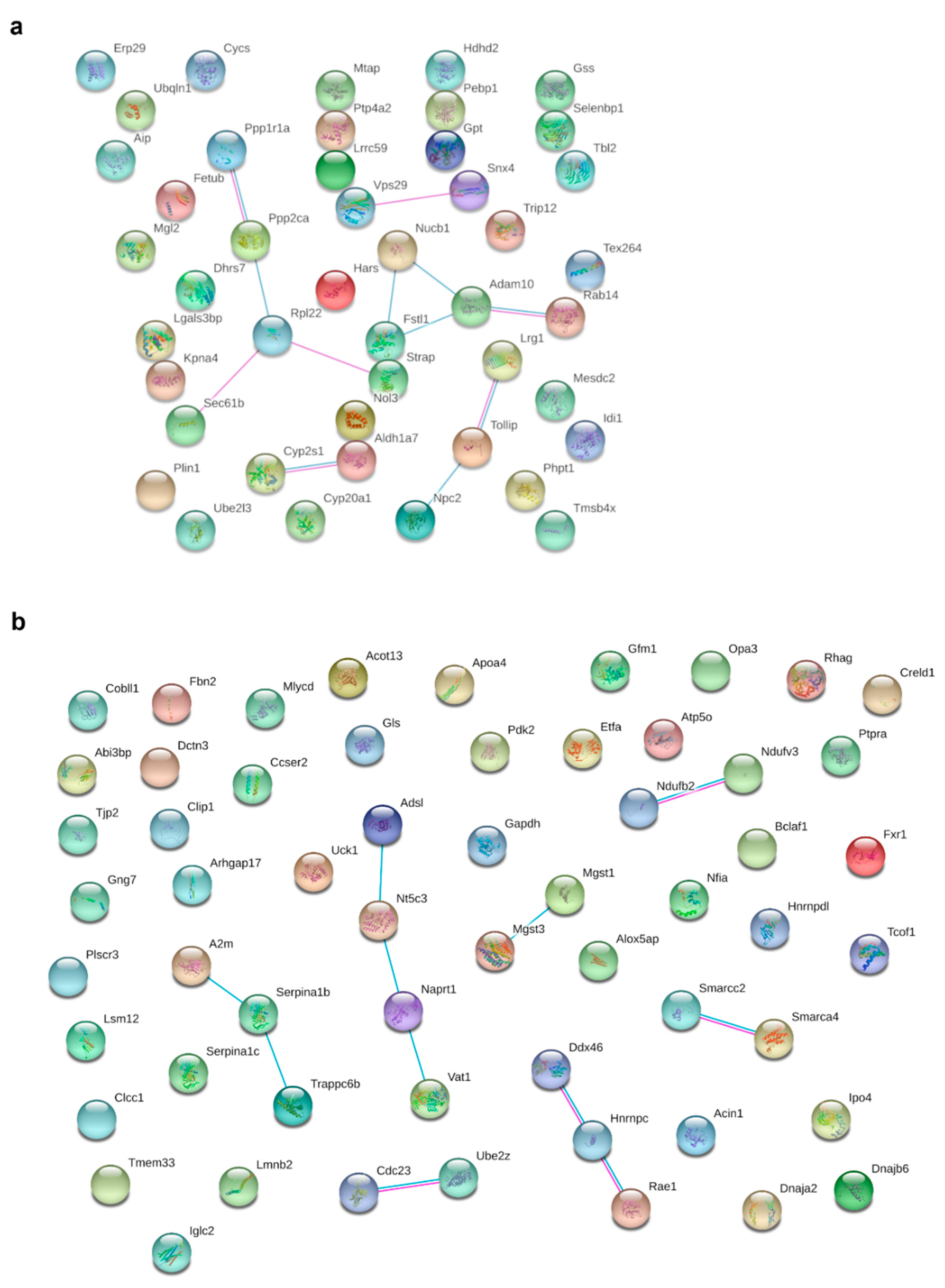 Nutrients 14 02288 g004