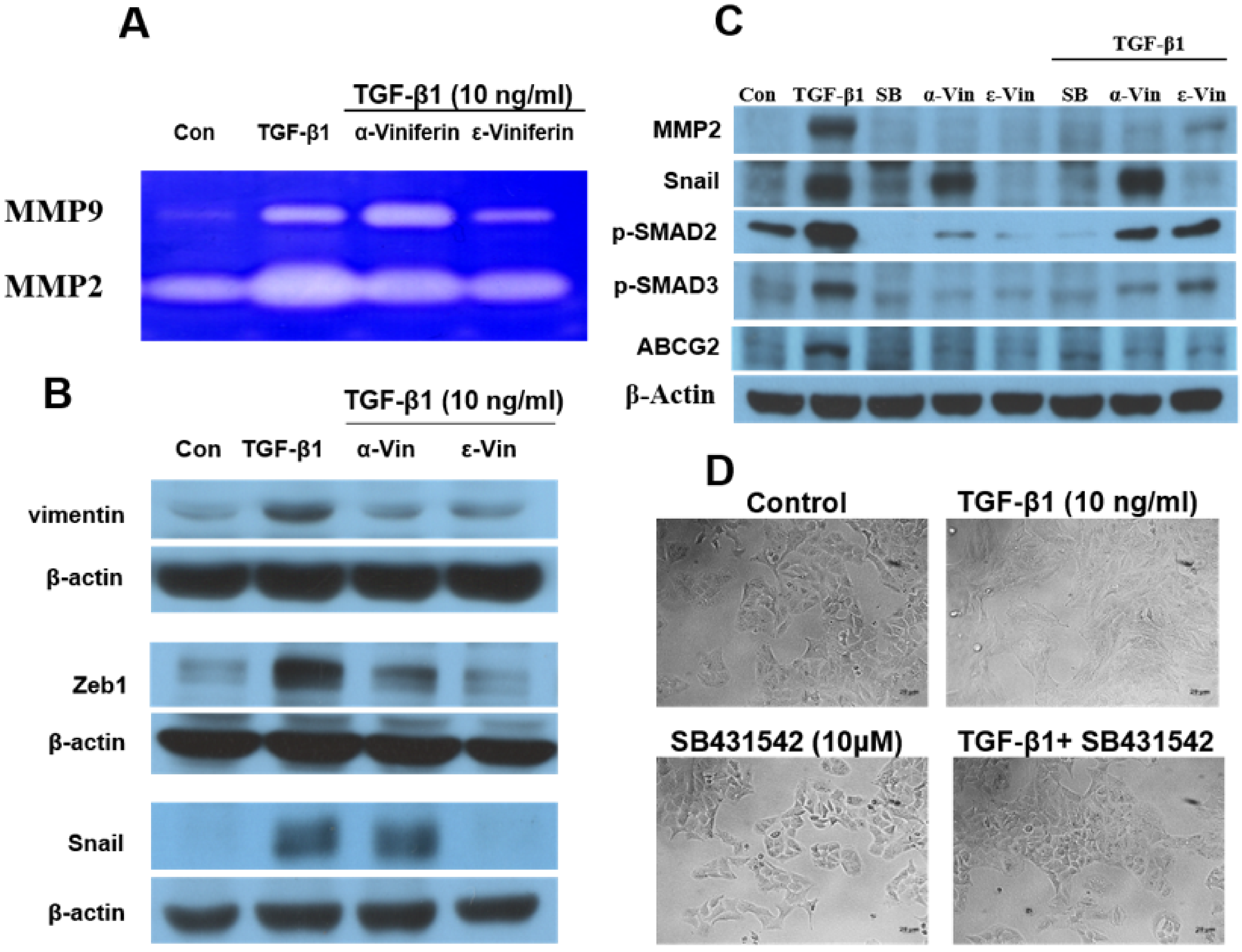 Nutrients 14 02294 g004