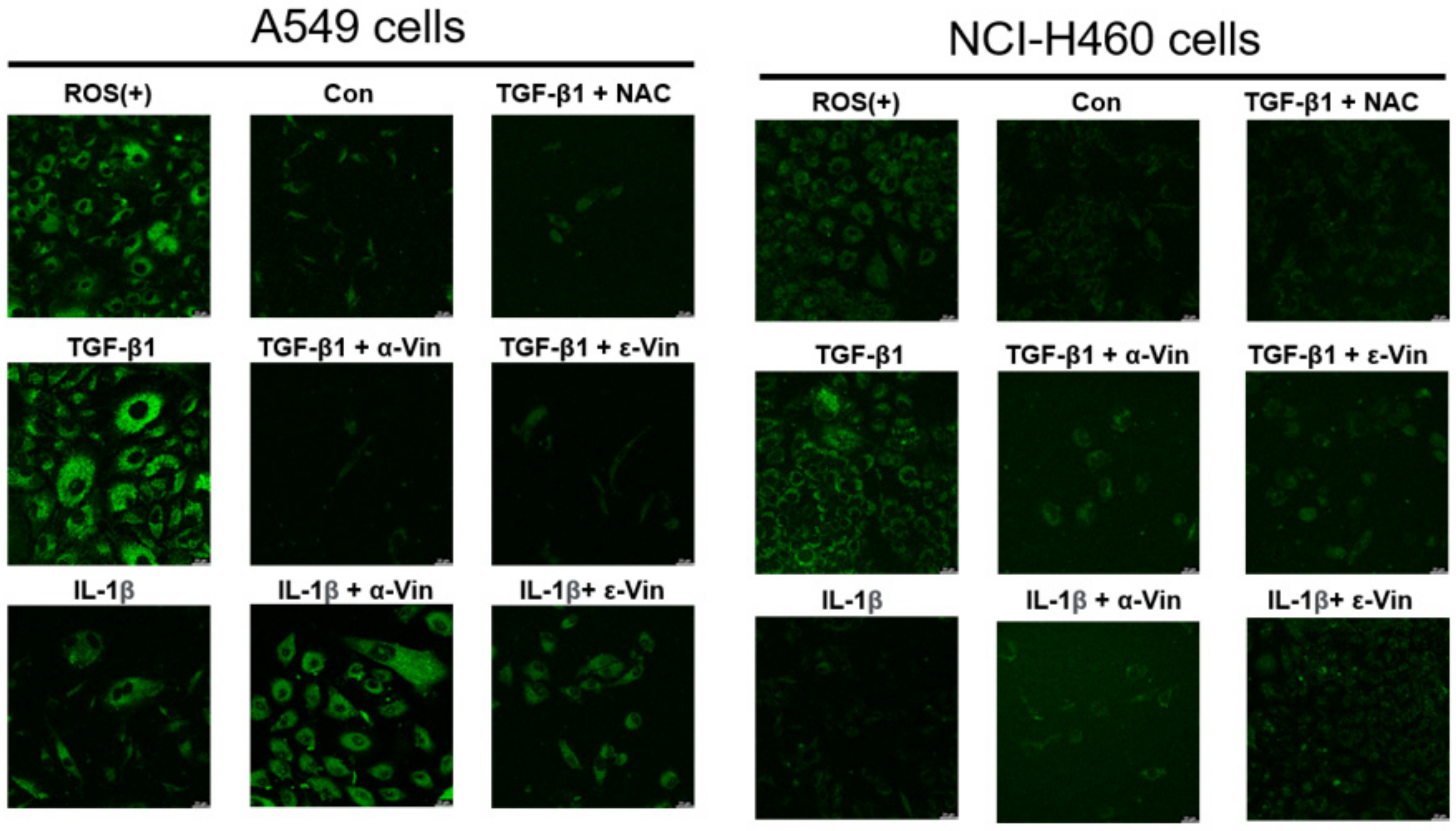 Nutrients 14 02294 g005