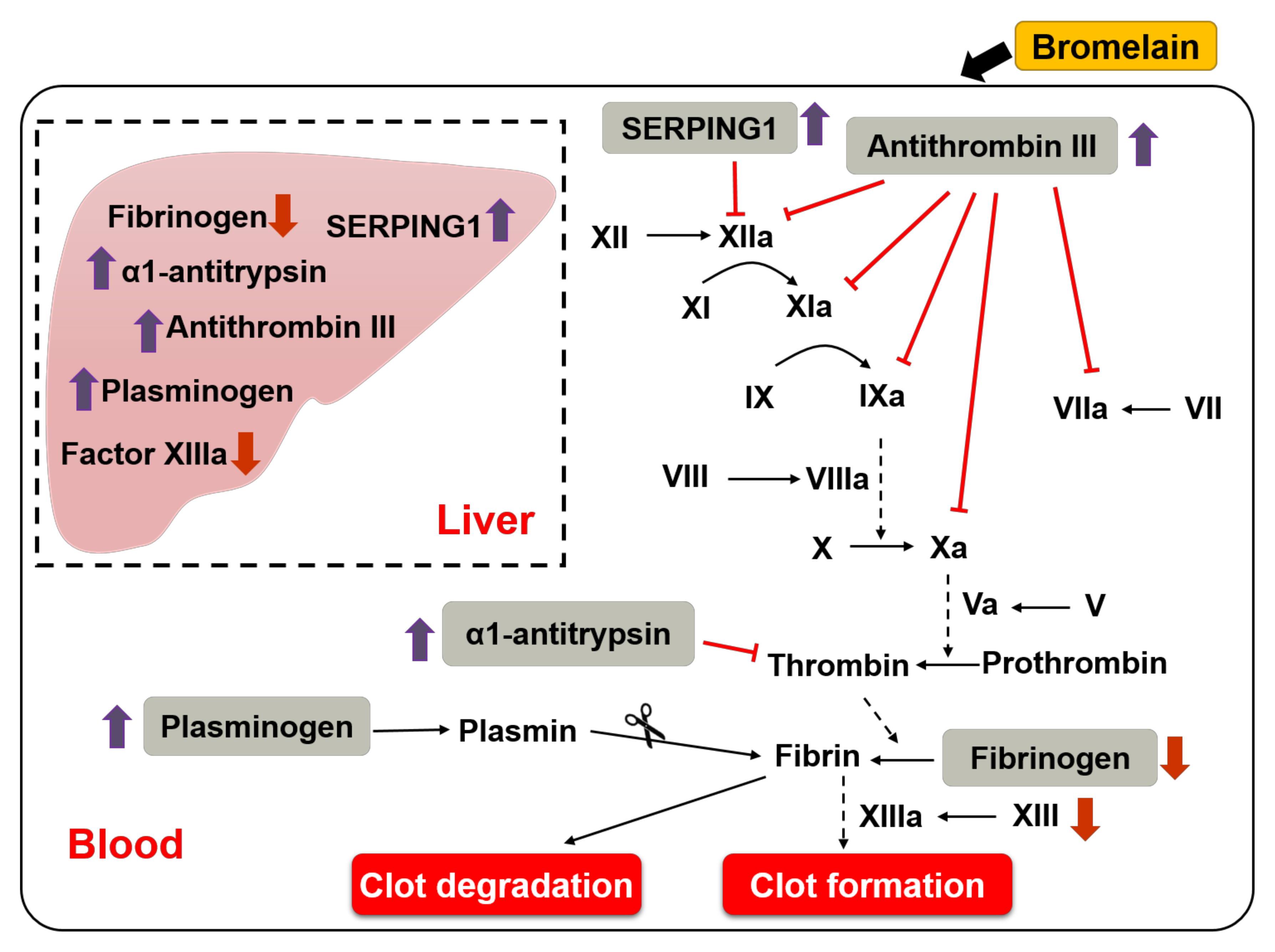 Nutrients 14 02329 g005