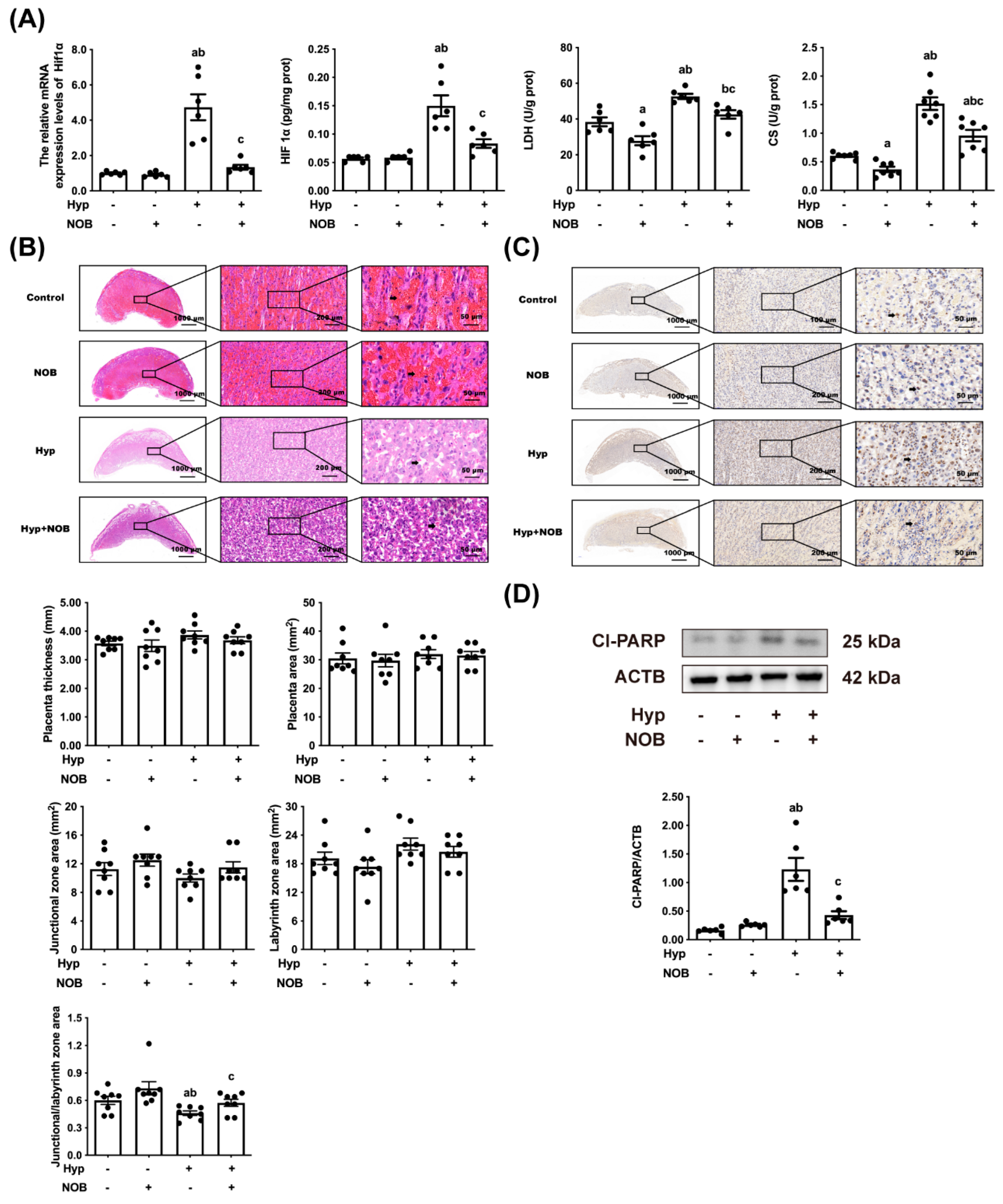 Nutrients 14 02332 g002