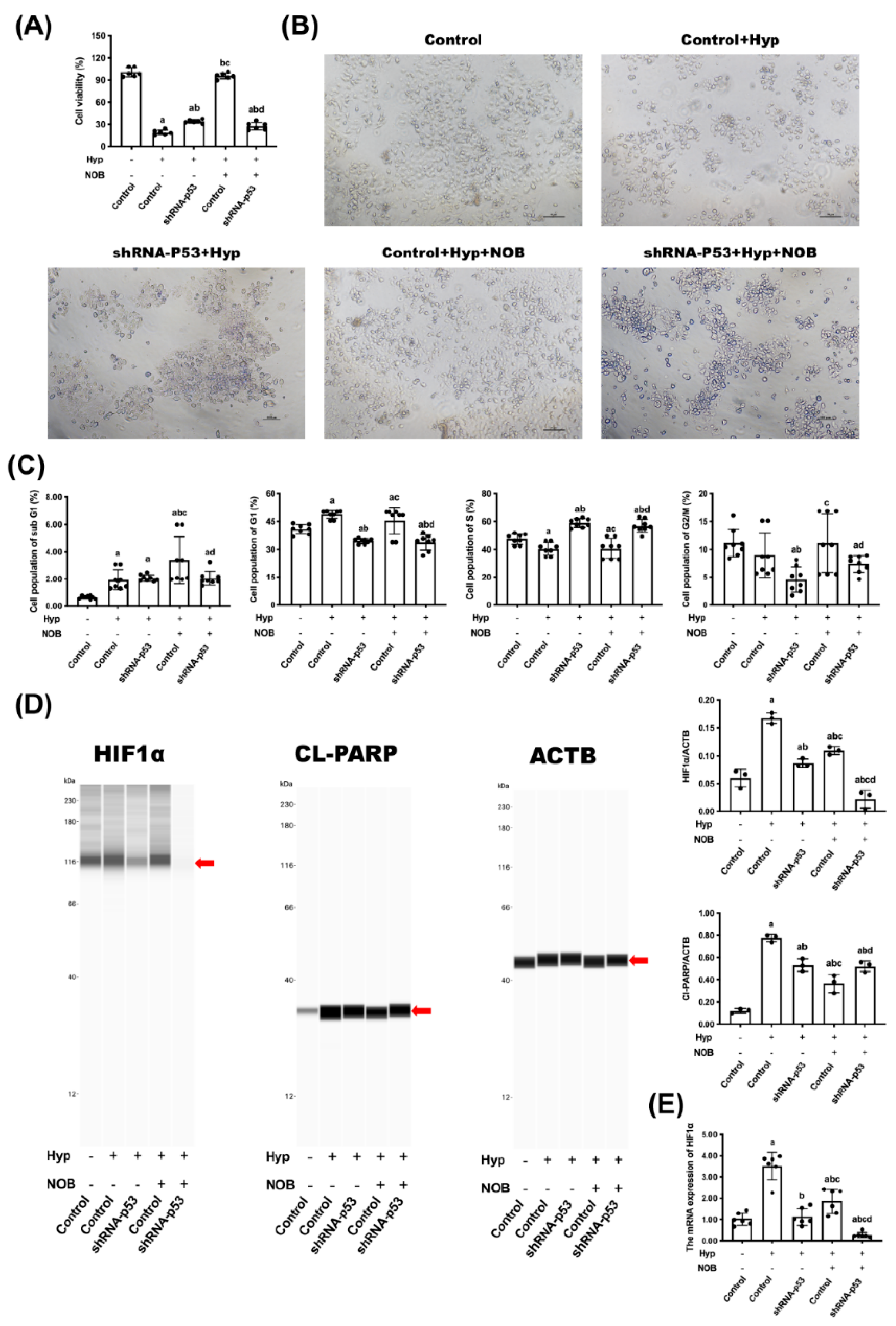 Nutrients 14 02332 g004