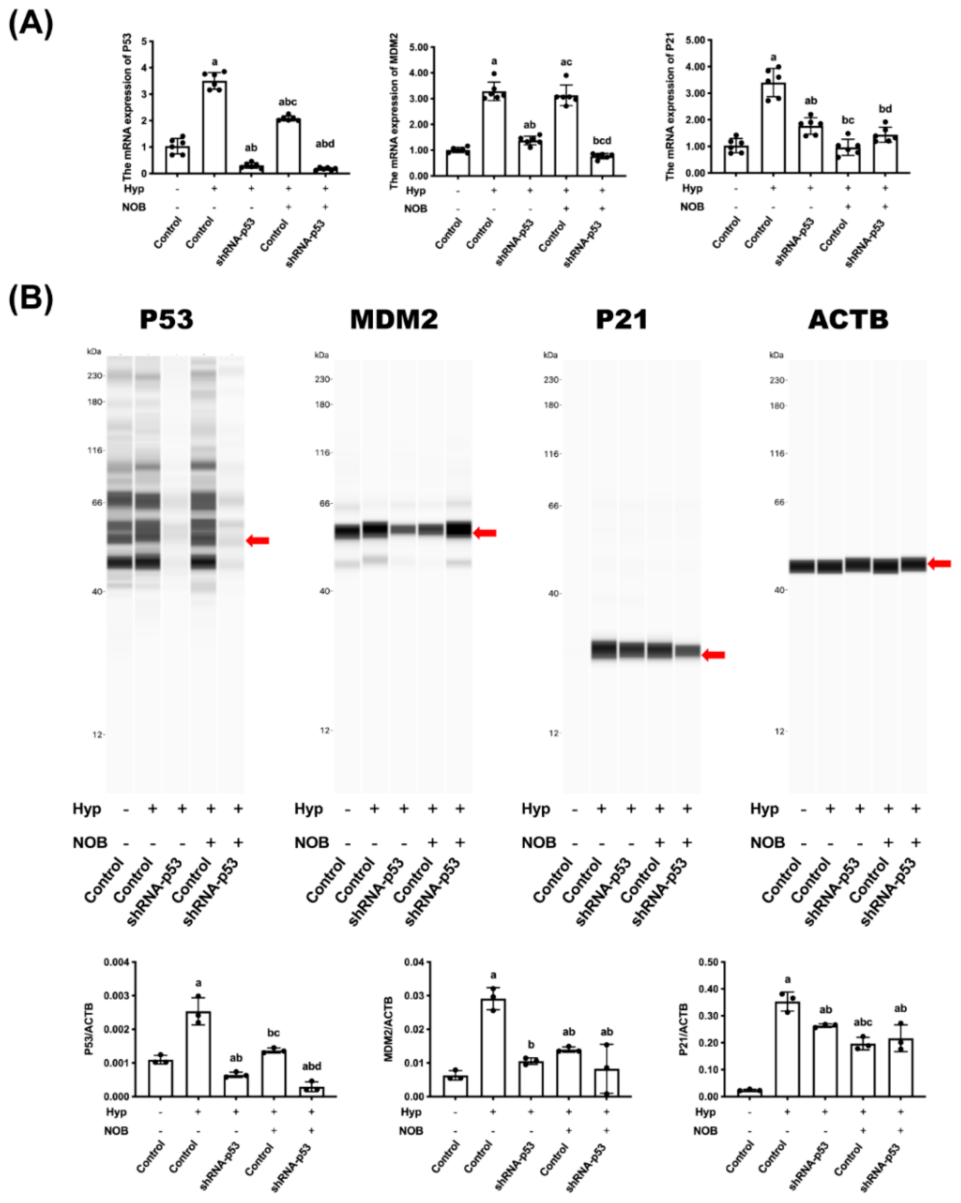 Nutrients 14 02332 g005