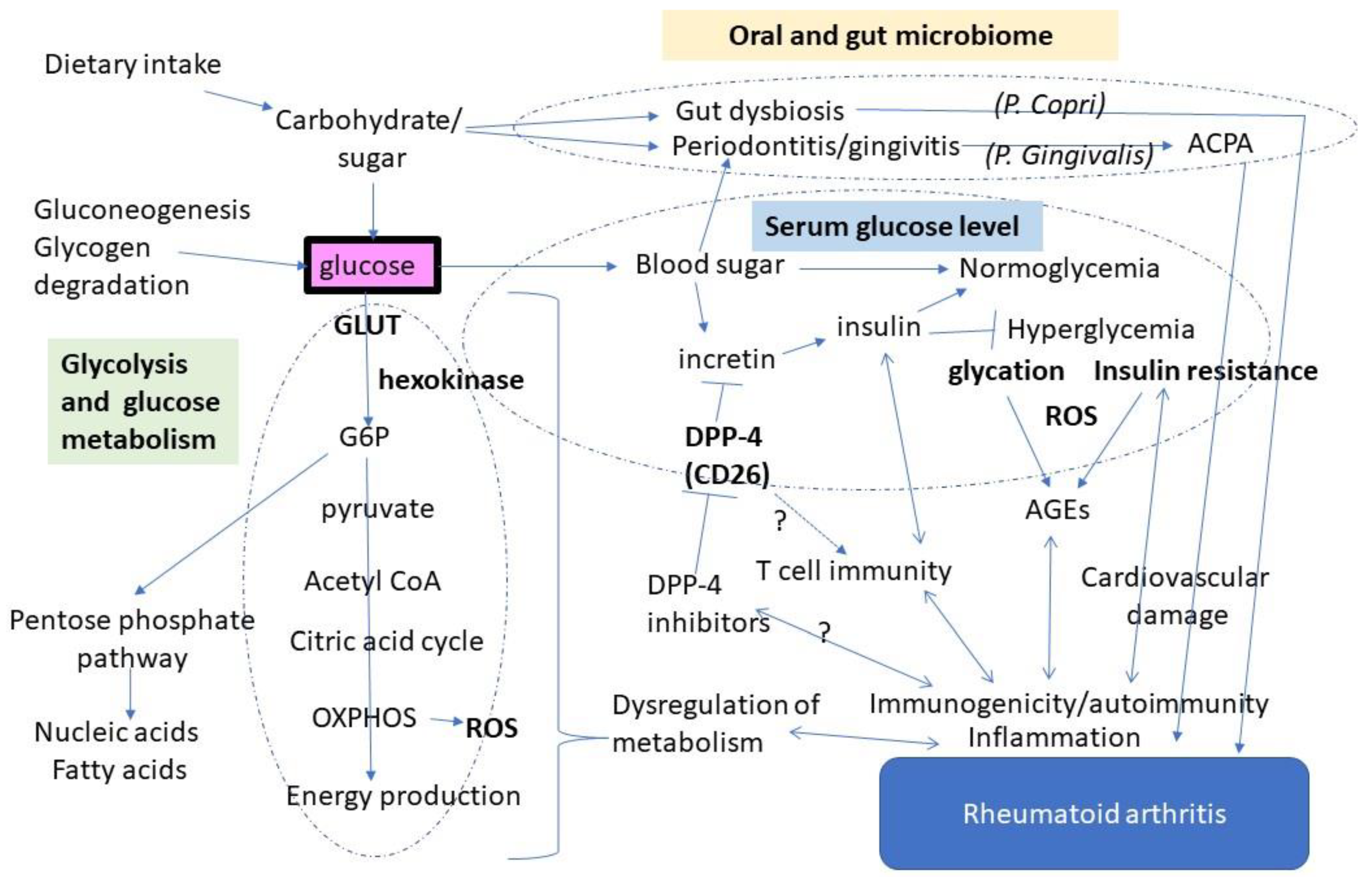 Nutrients 14 02349 g001 Nutrients 14 02349 g001