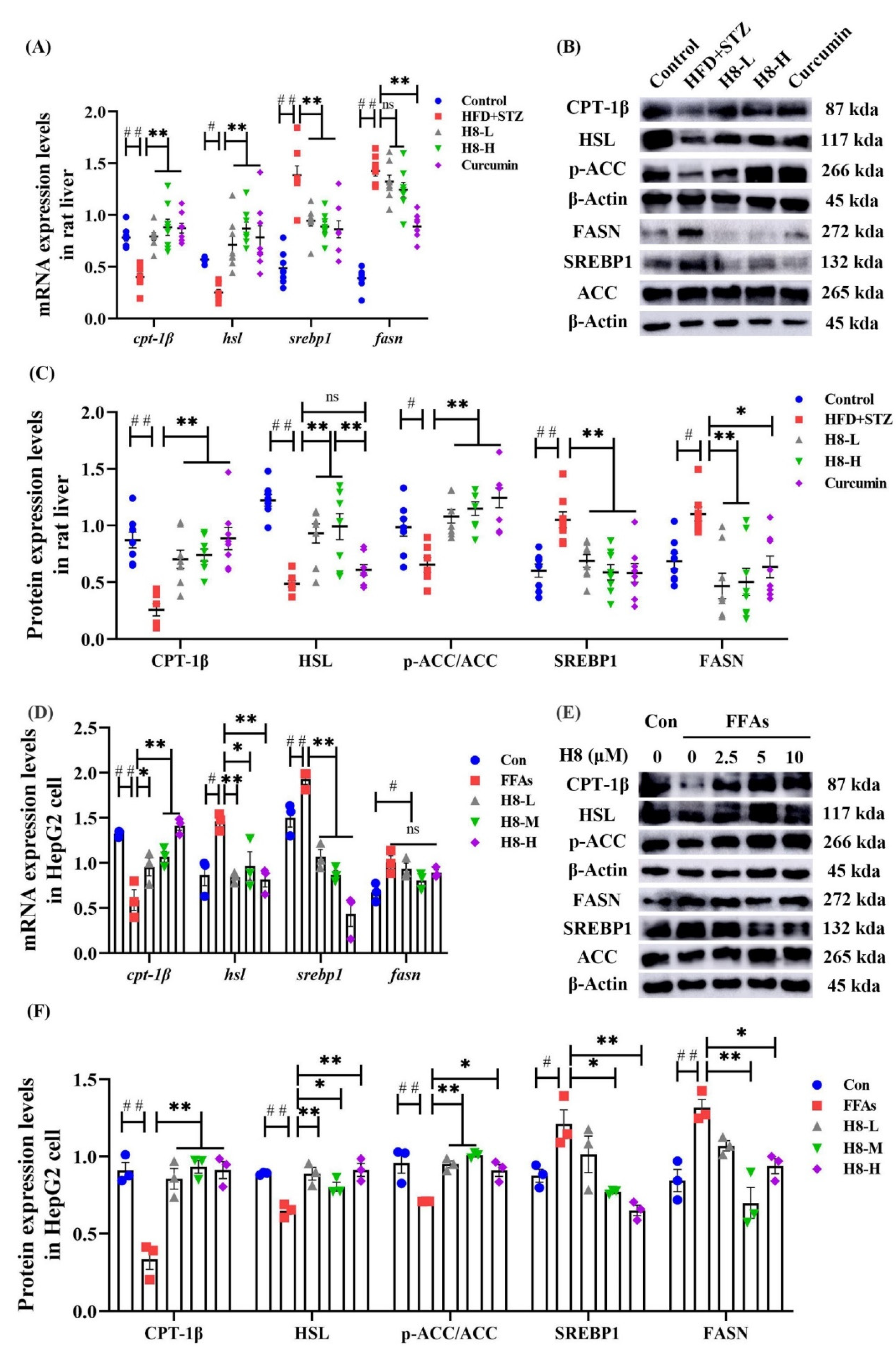 Nutrients 14 02358 g002 Nutrients 14 02358 g002